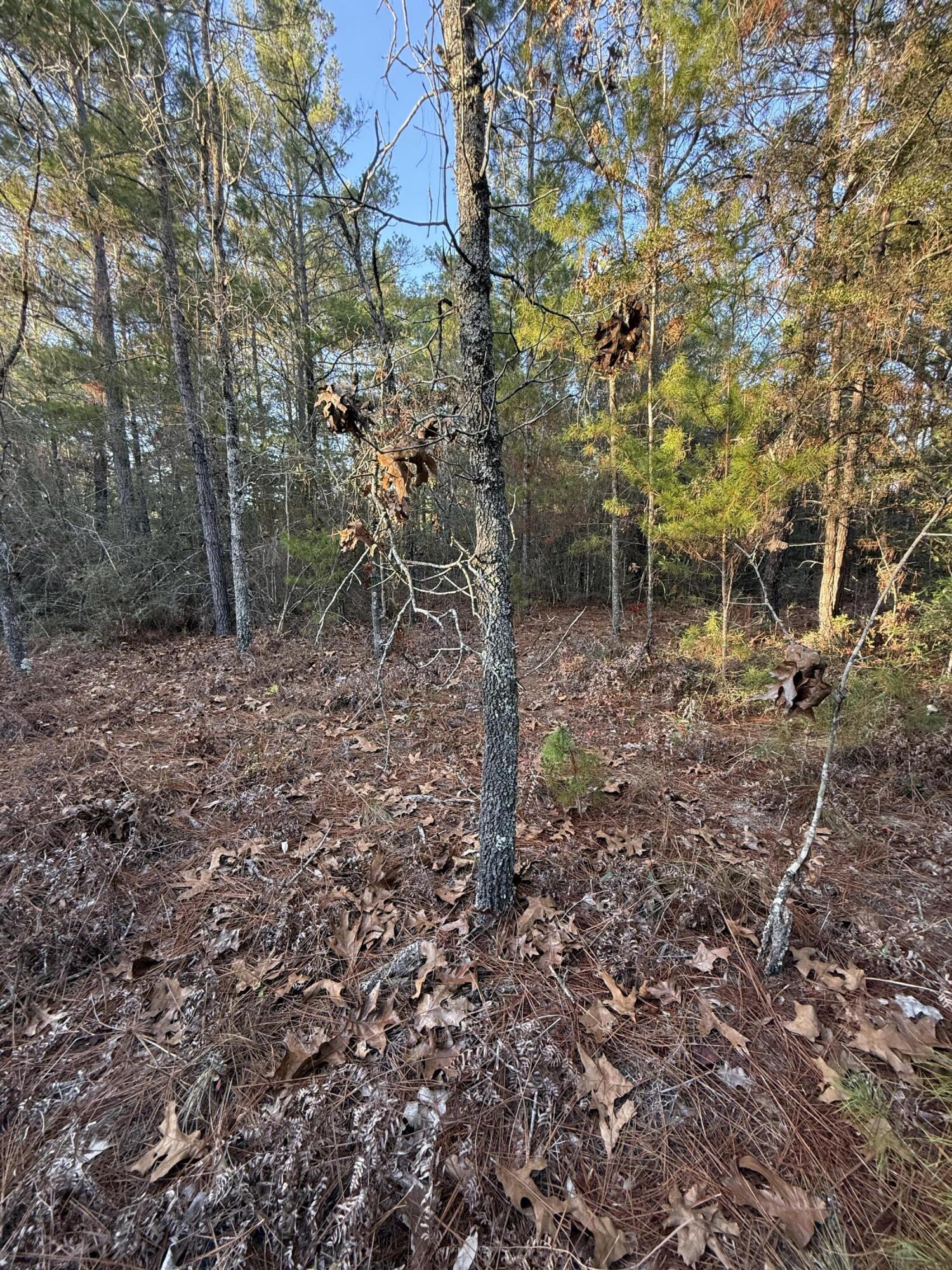 Lot 5 Blk 54 On Forest Lane Defuniak Springs FL 32433