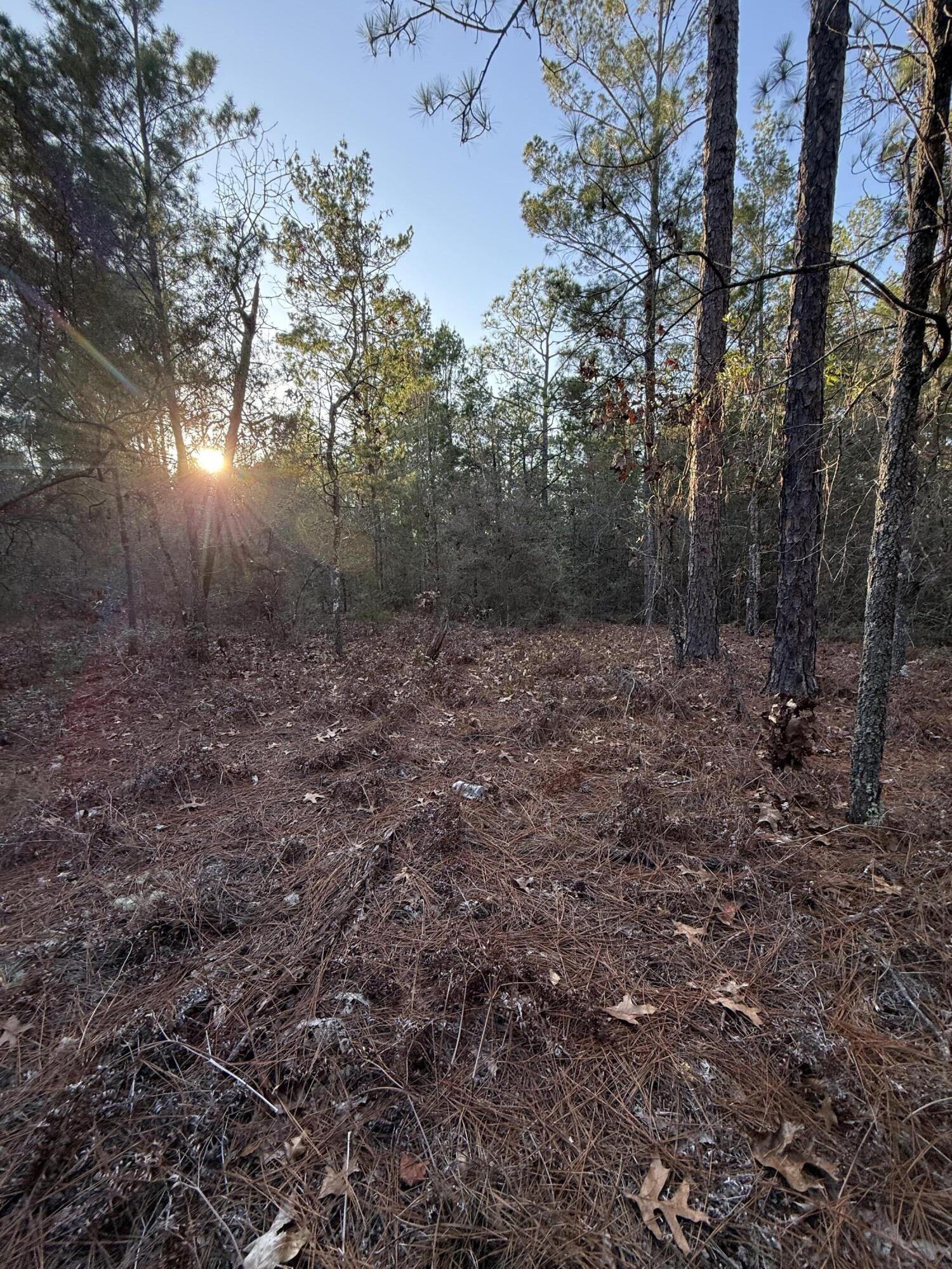 Lot 5 Blk 54 On Forest Lane Defuniak Springs FL 32433