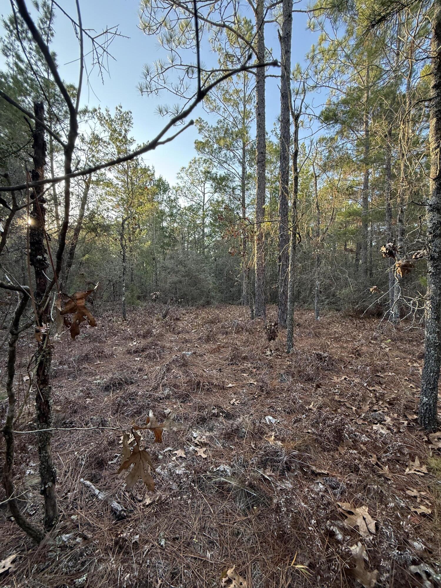 Lot 5 Blk 54 On Forest Lane Defuniak Springs FL 32433