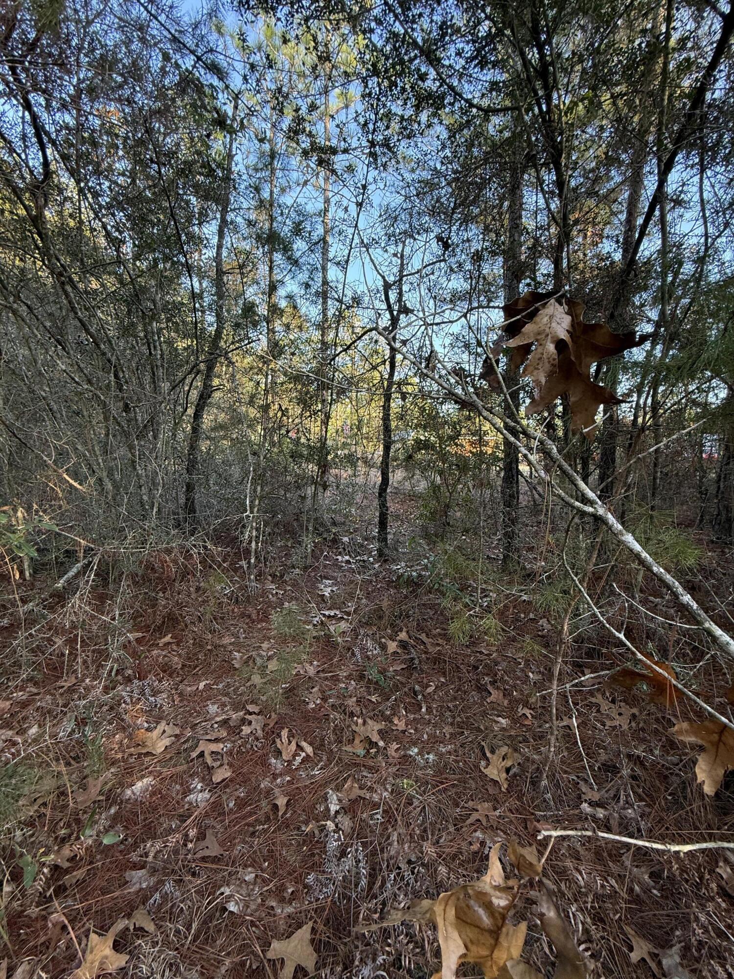 Lot 5 Blk 54 On Forest Lane Defuniak Springs FL 32433