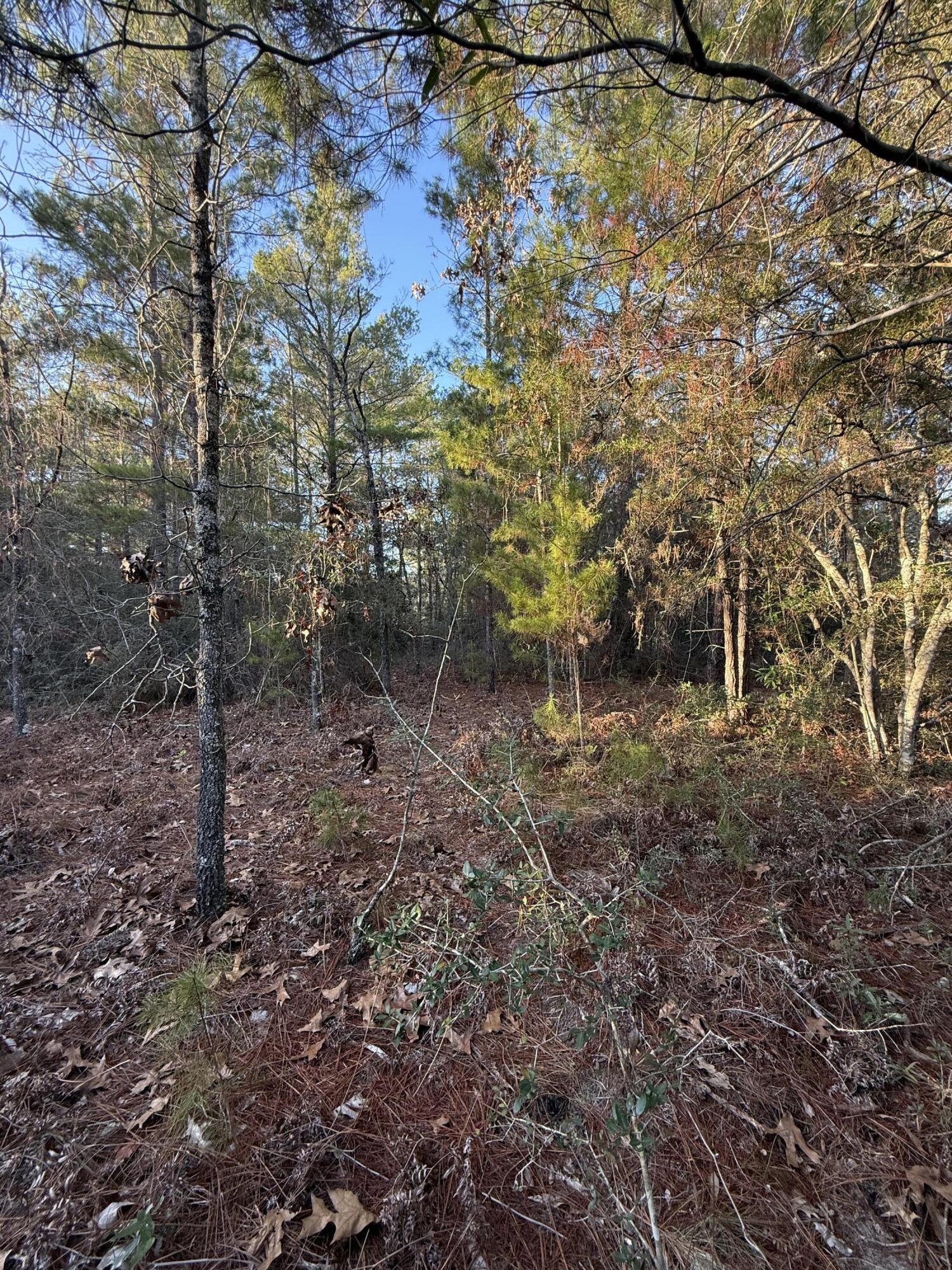 Lot 5 Blk 54 On Forest Lane Defuniak Springs FL 32433