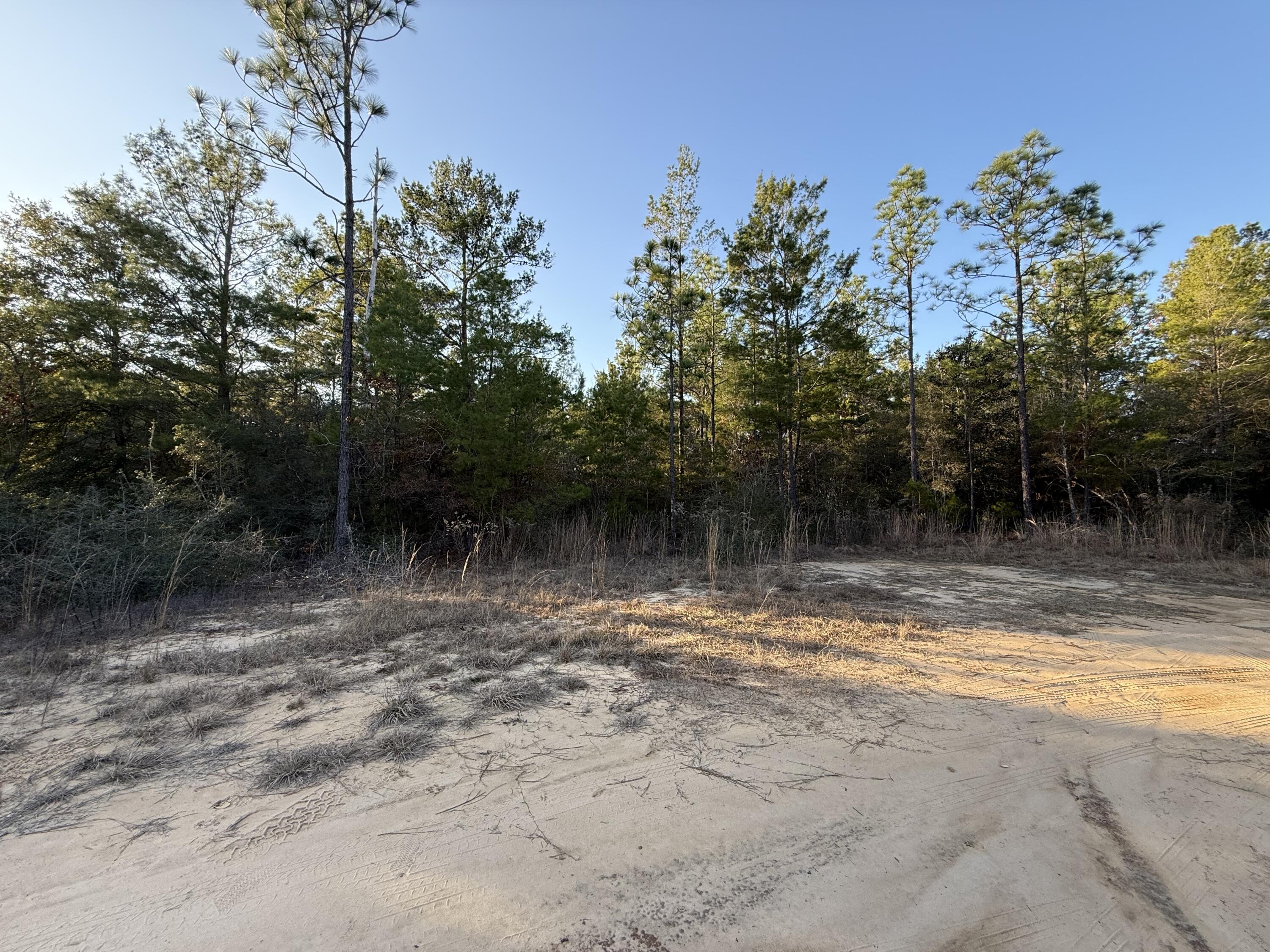 Lot 5 Blk 54 On Forest Lane Defuniak Springs FL 32433
