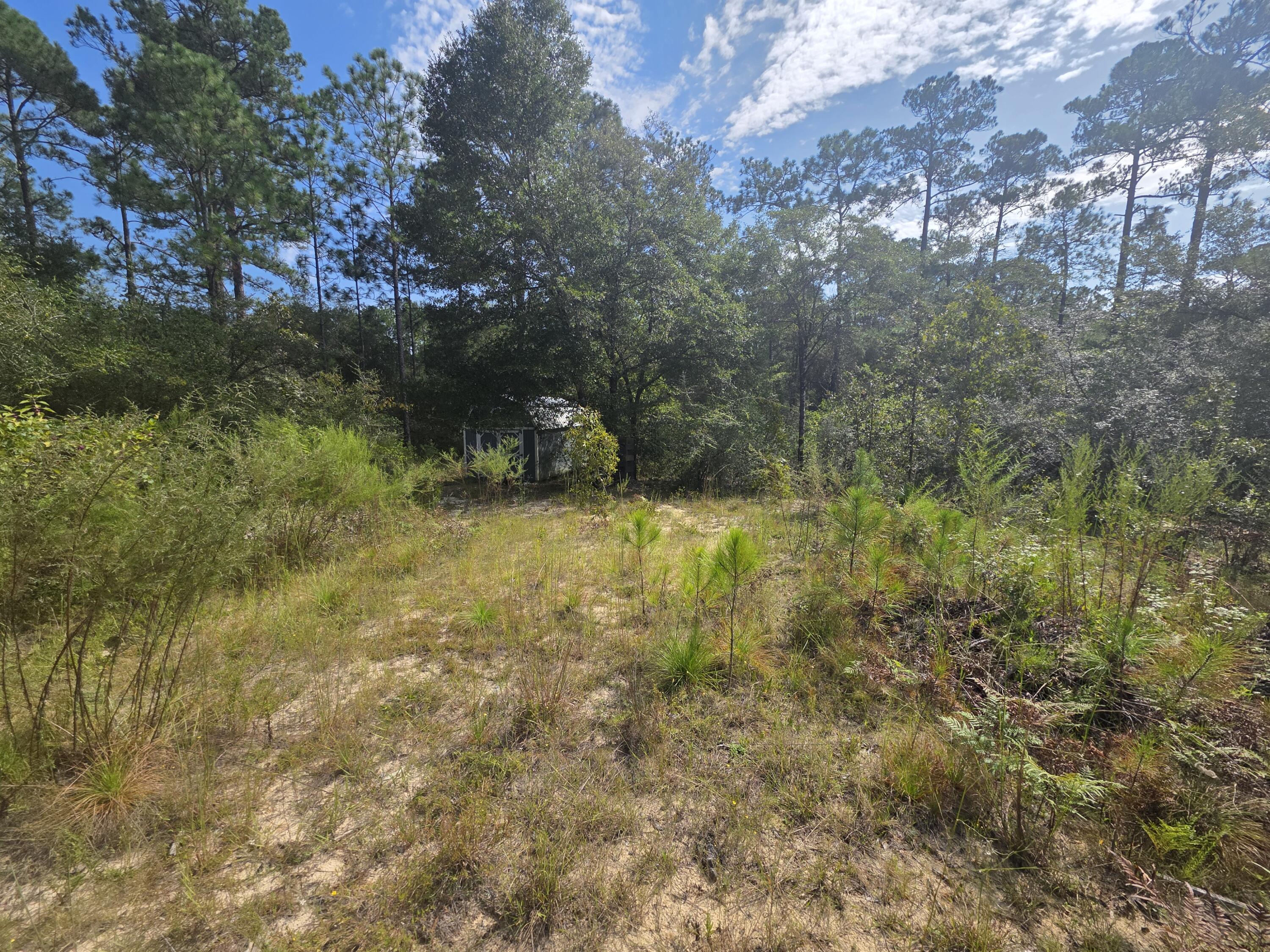 Lot 48 Clearwater Drive Defuniak Springs FL 32433