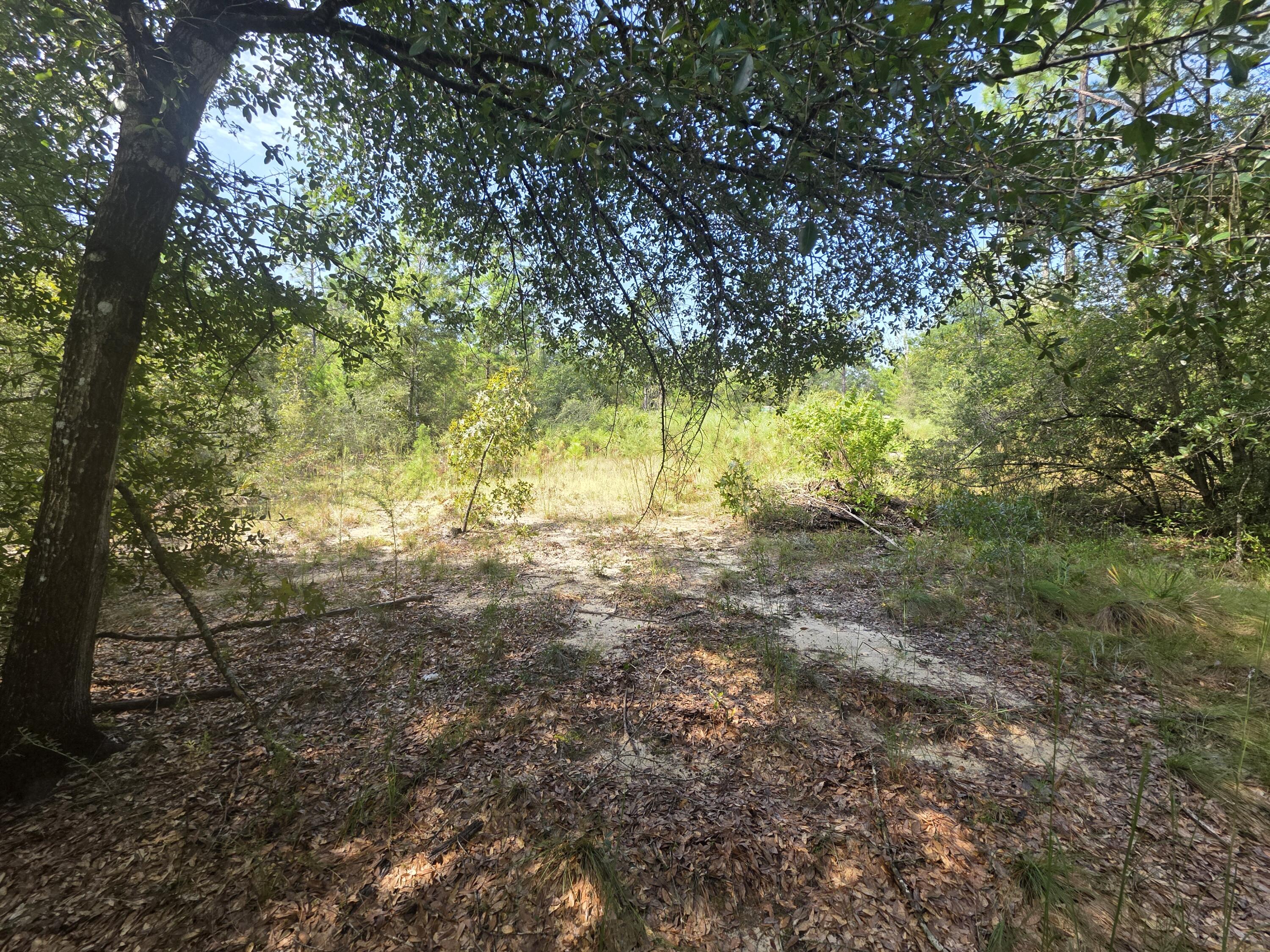 Lot 48 Clearwater Drive Defuniak Springs FL 32433