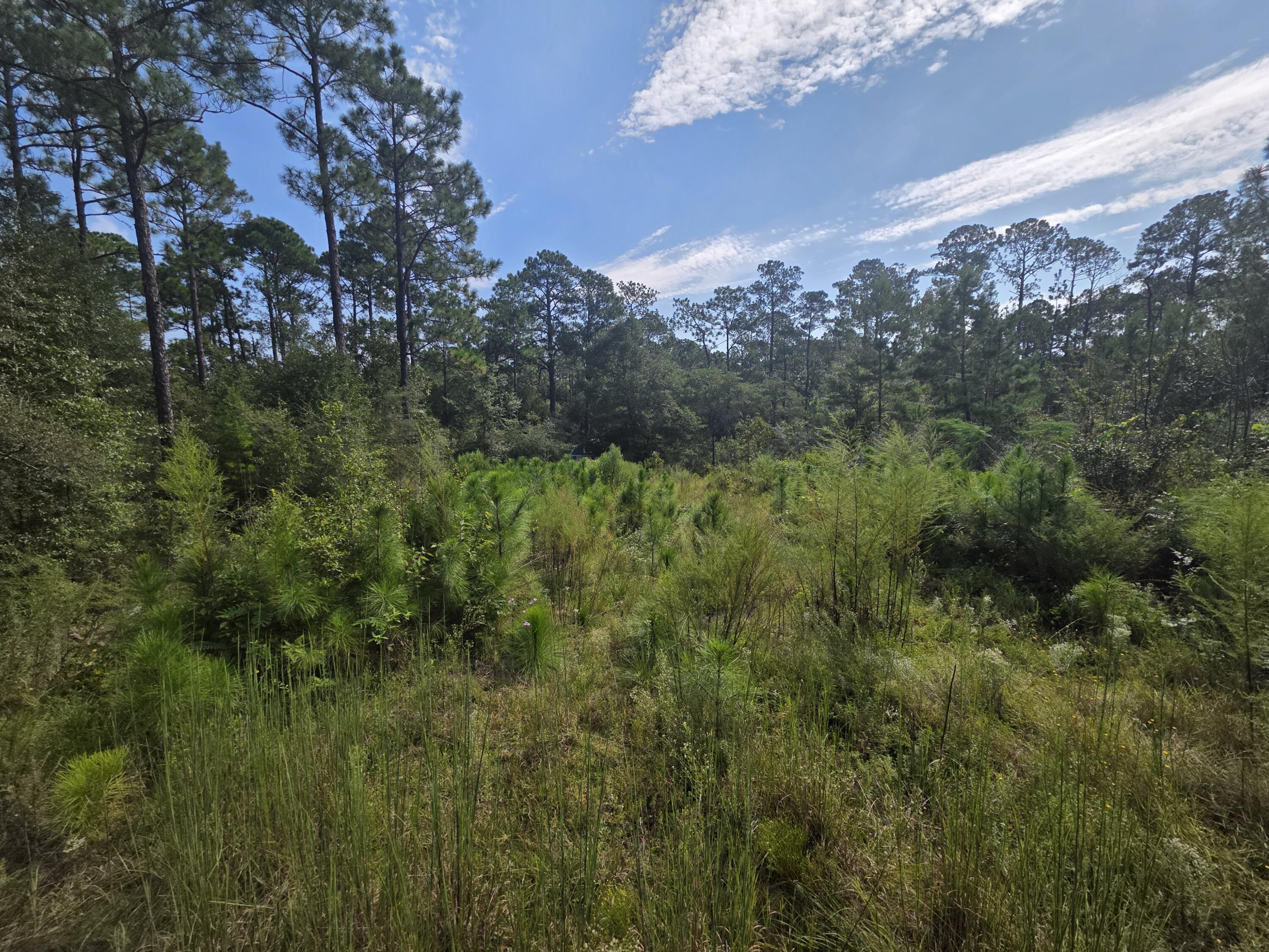 Lot 48 Clearwater Drive Defuniak Springs FL 32433