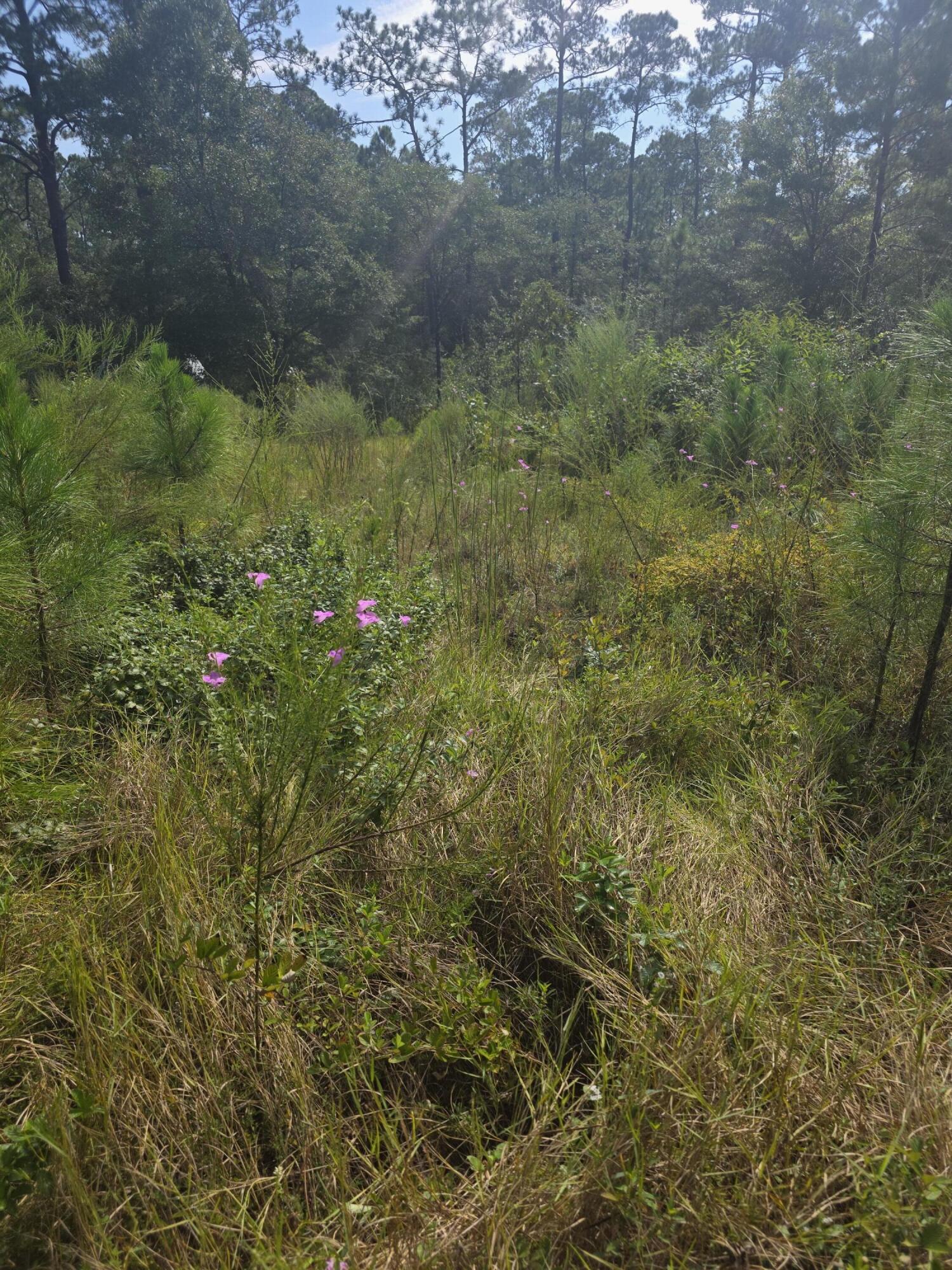 Lot 48 Clearwater Drive Defuniak Springs FL 32433