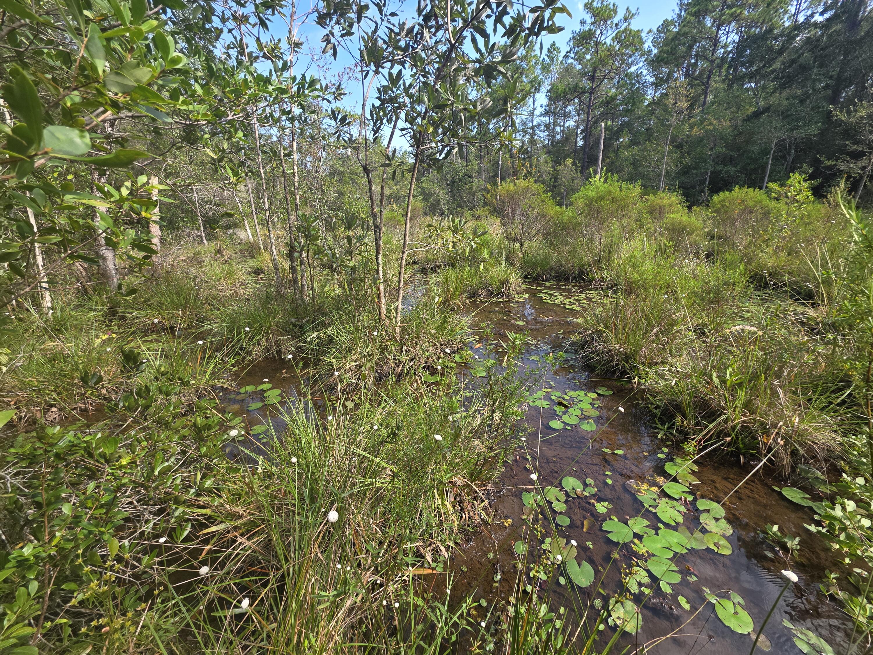 Lot 48 Clearwater Drive Defuniak Springs FL 32433