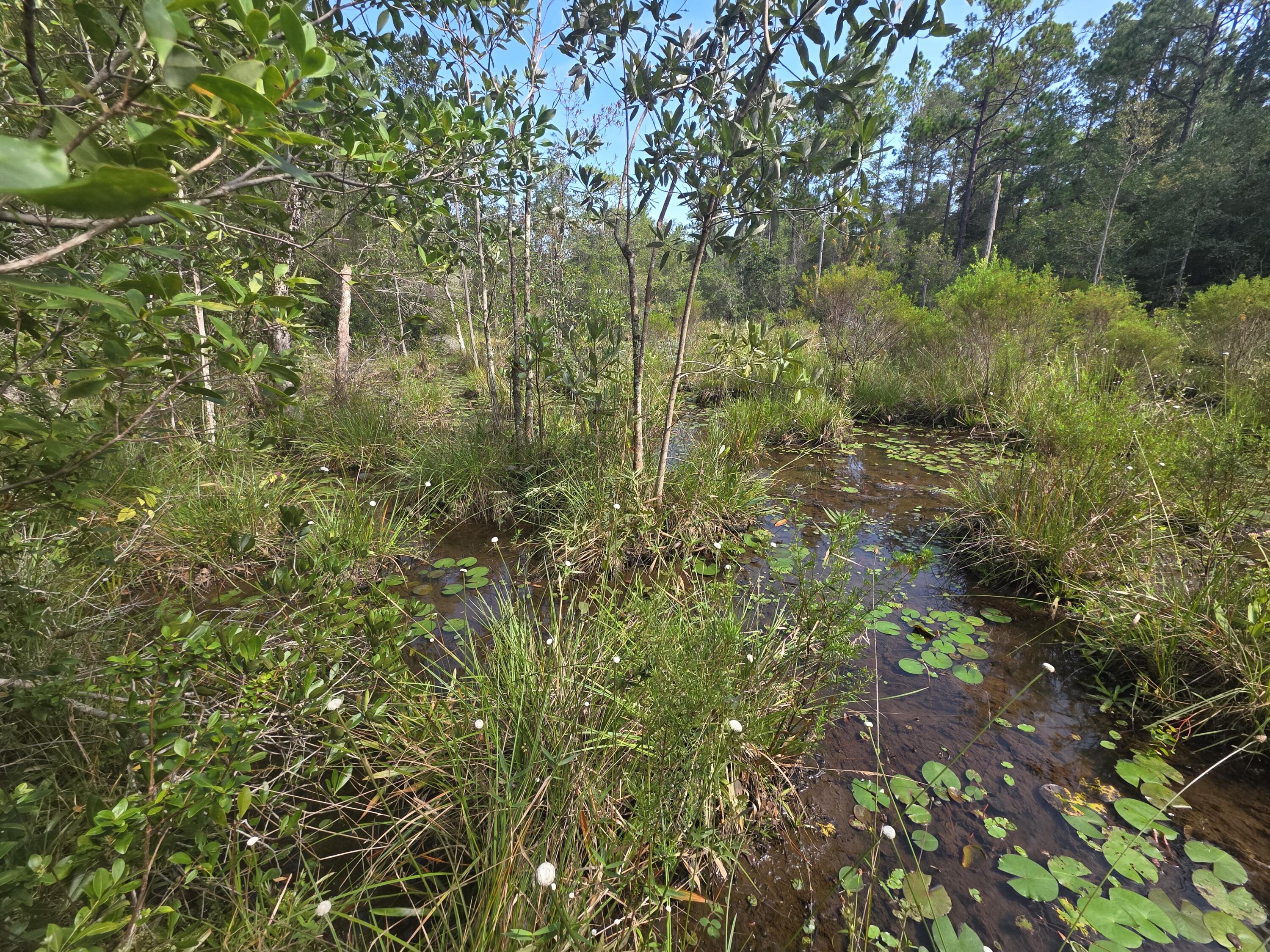 Lot 48 Clearwater Drive Defuniak Springs FL 32433