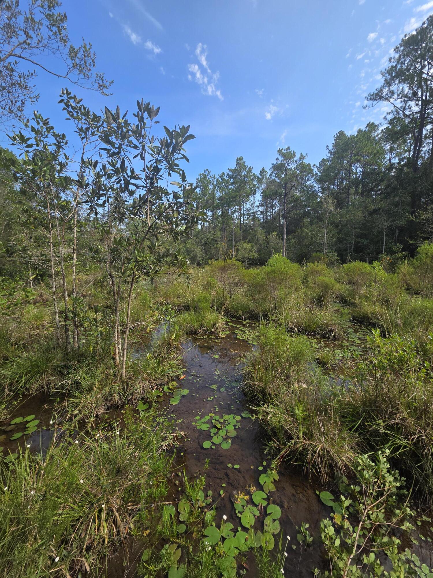 Lot 48 Clearwater Drive Defuniak Springs FL 32433