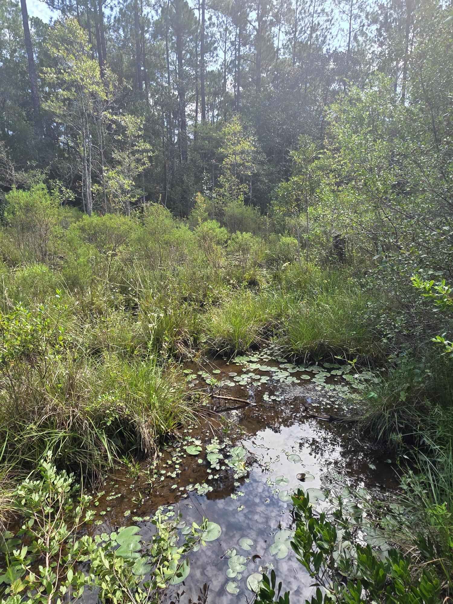 Lot 48 Clearwater Drive Defuniak Springs FL 32433