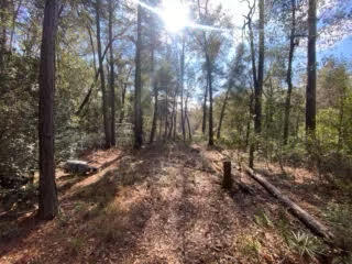 A&b W Sunburst Drive Crestview FL 32539