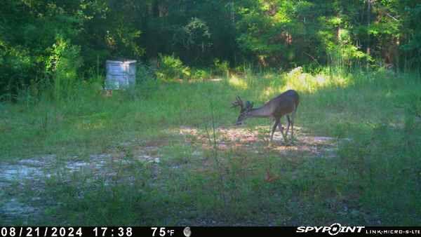 A&b W Sunburst Drive Crestview FL 32539