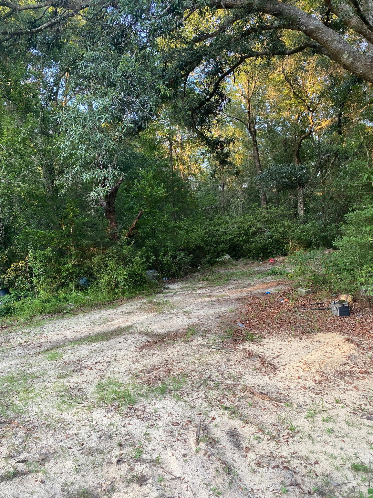 338 Carol Lane Defuniak Springs FL 32433