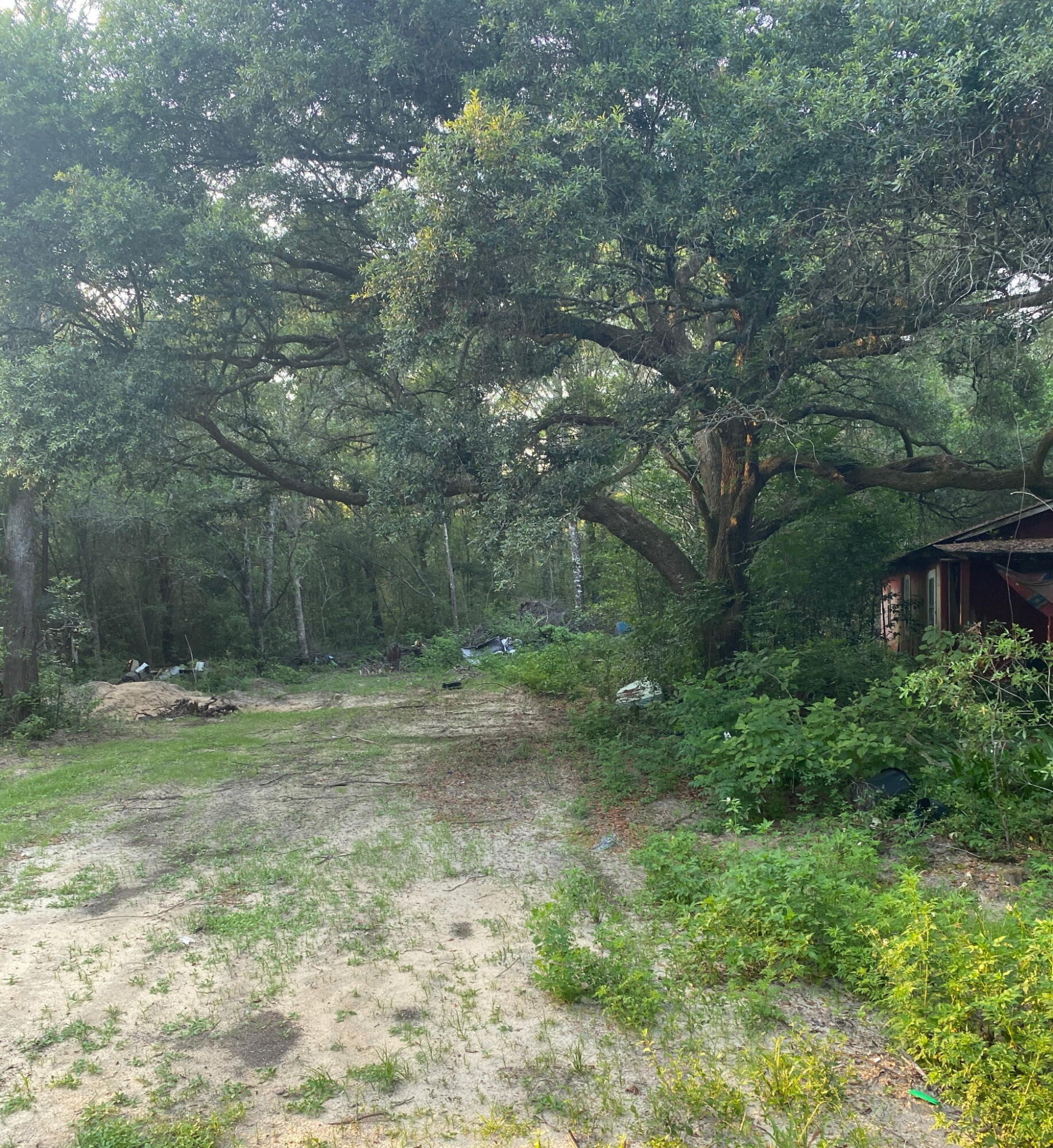 338 Carol Lane Defuniak Springs FL 32433