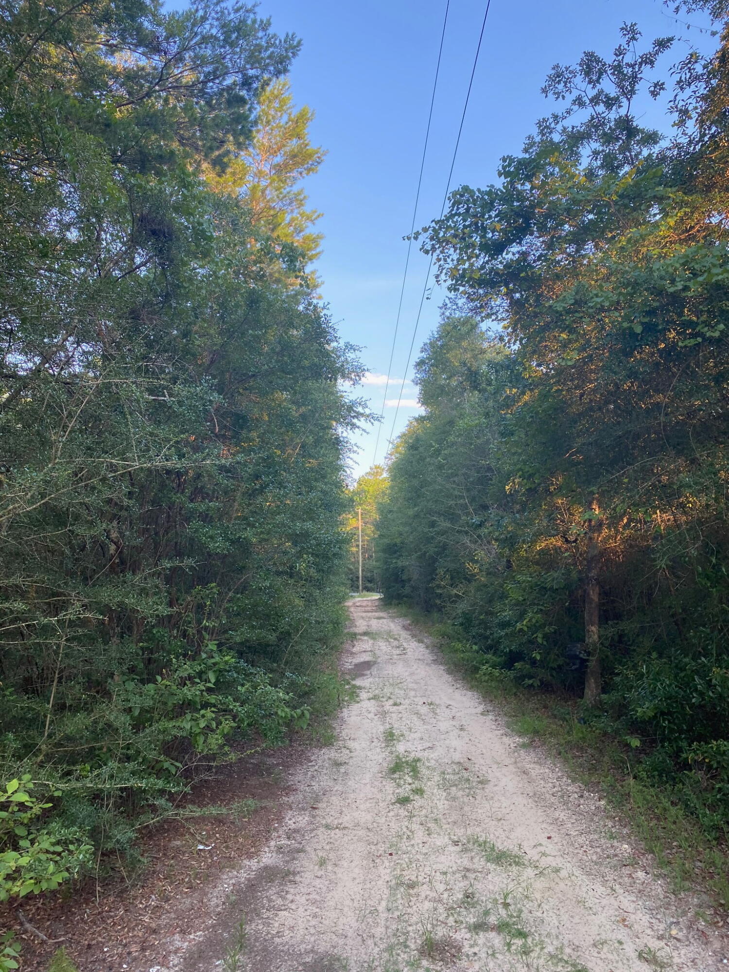 338 Carol Lane Defuniak Springs FL 32433