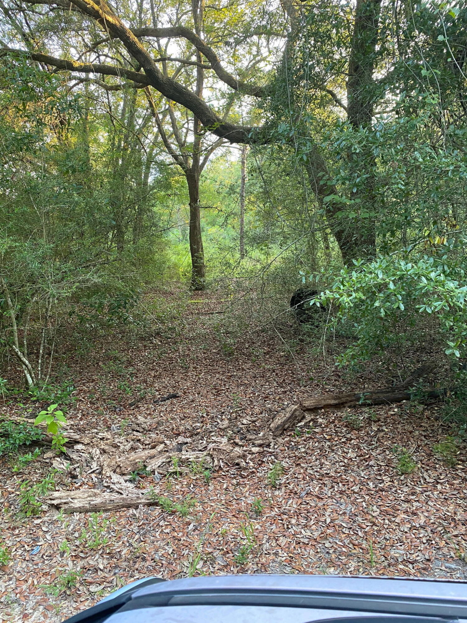 338 Carol Lane Defuniak Springs FL 32433