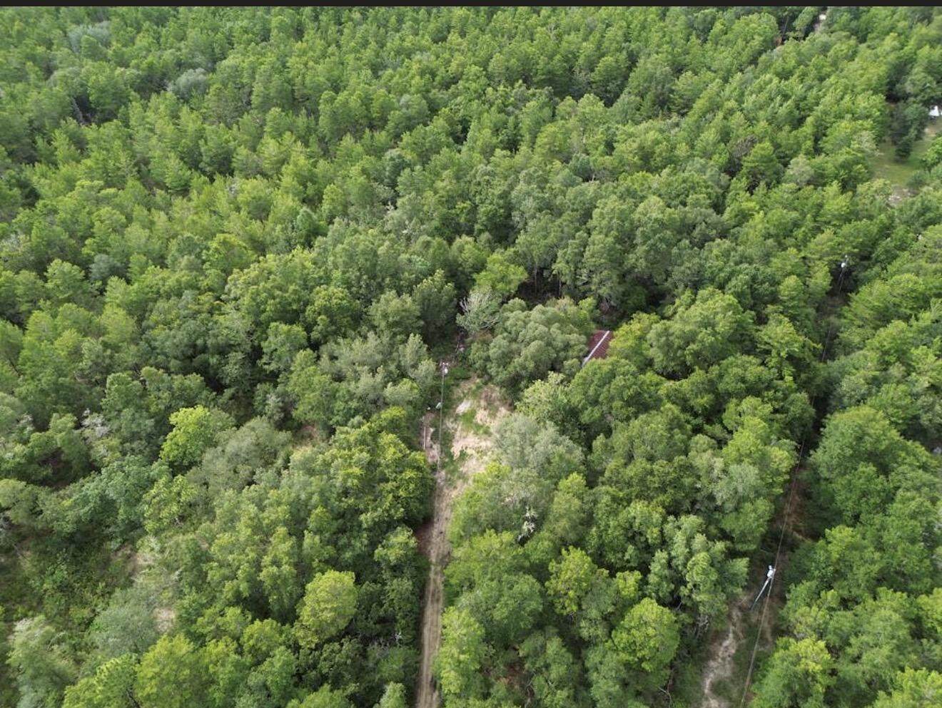 338 Carol Lane Defuniak Springs FL 32433