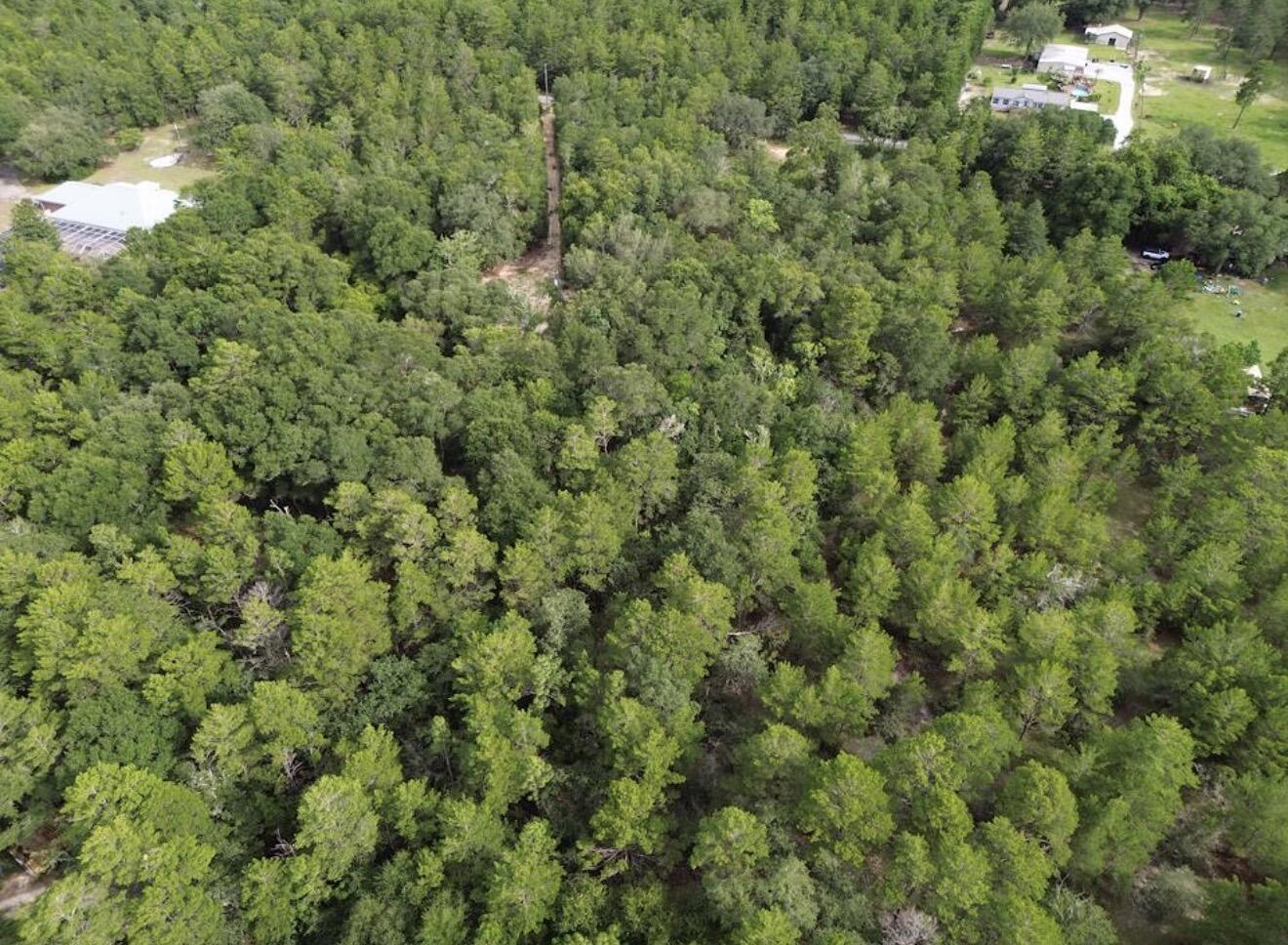 338 Carol Lane Defuniak Springs FL 32433