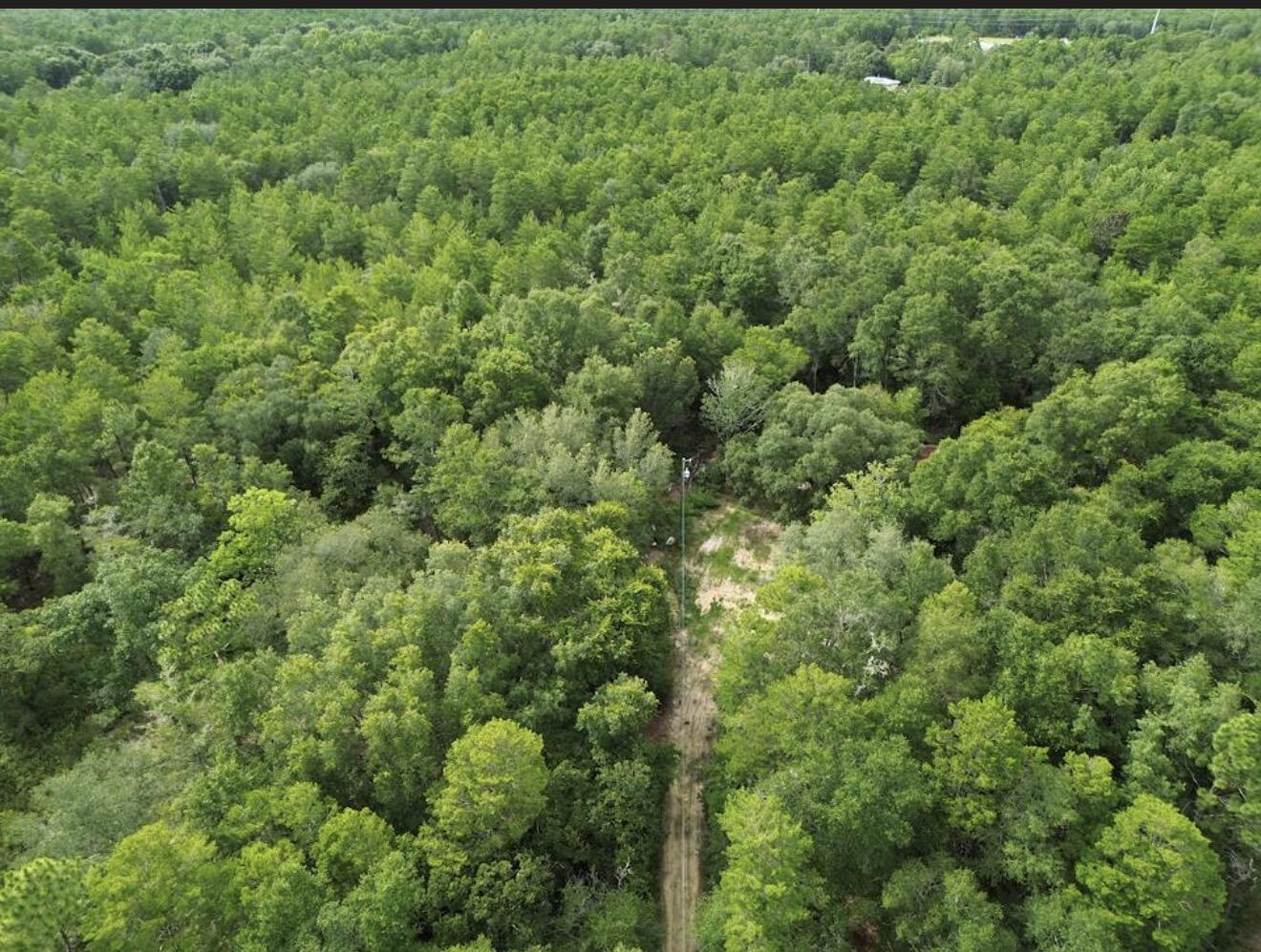 338 Carol Lane Defuniak Springs FL 32433