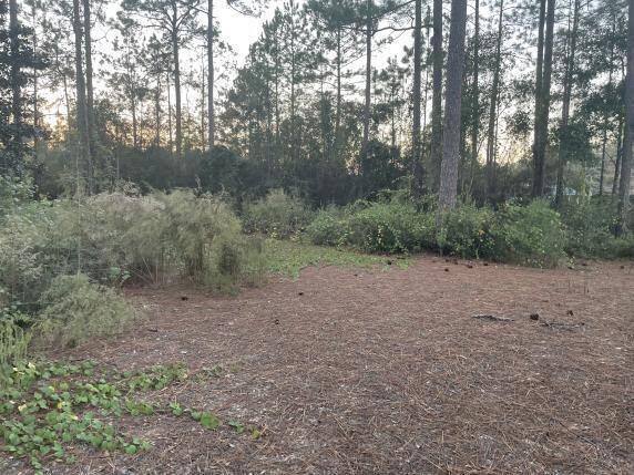 10 Eugene Court Defuniak Springs FL 32433