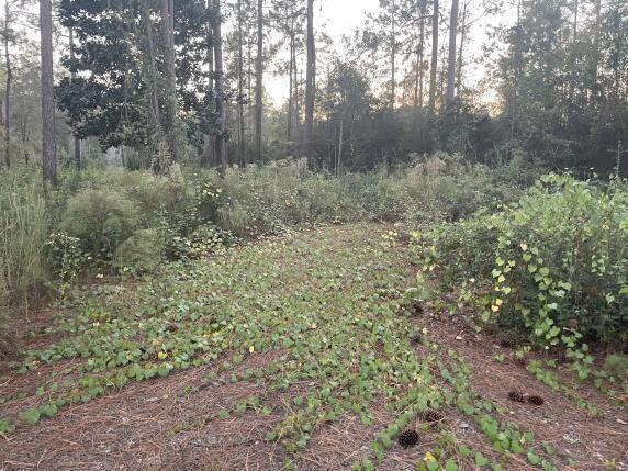 10 Eugene Court Defuniak Springs FL 32433