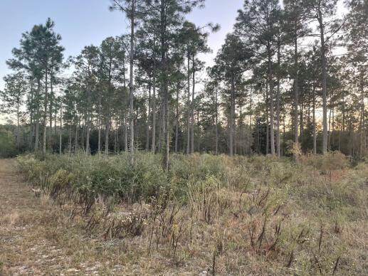10 Eugene Court Defuniak Springs FL 32433