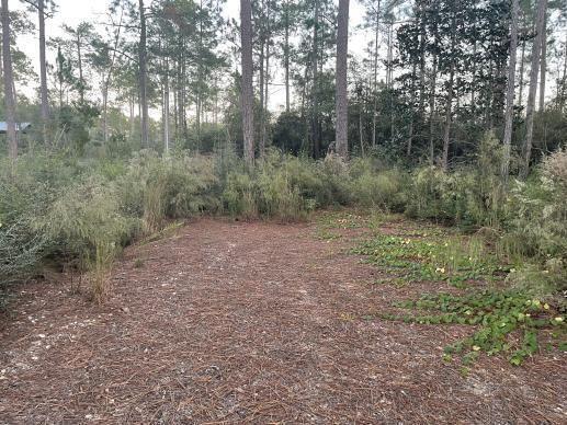 10 Eugene Court Defuniak Springs FL 32433