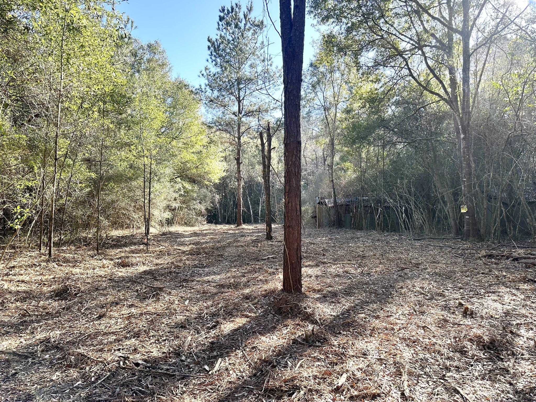 62 Acres Maes Lane Defuniak Springs FL 32433