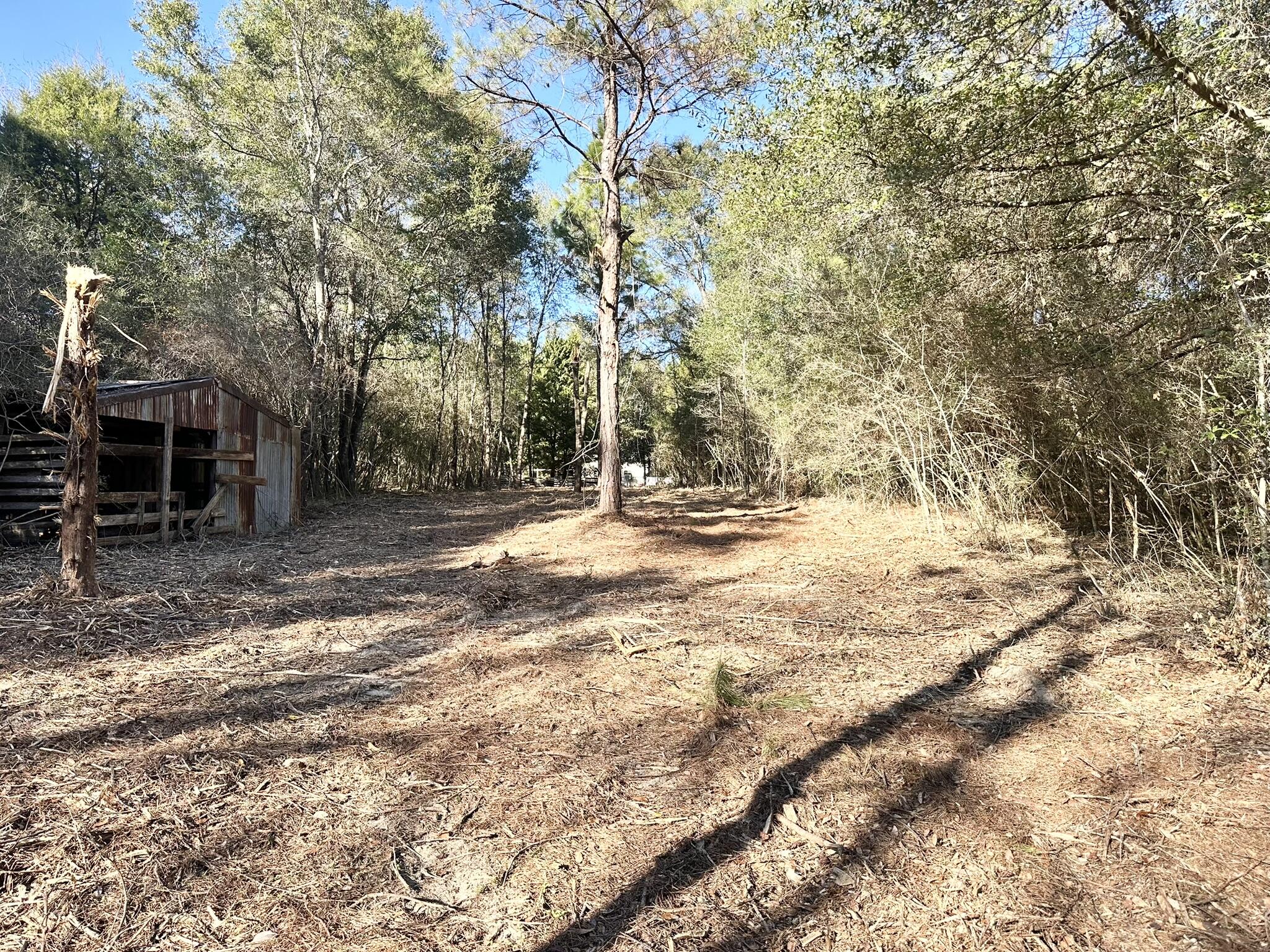 62 Acres Maes Lane Defuniak Springs FL 32433
