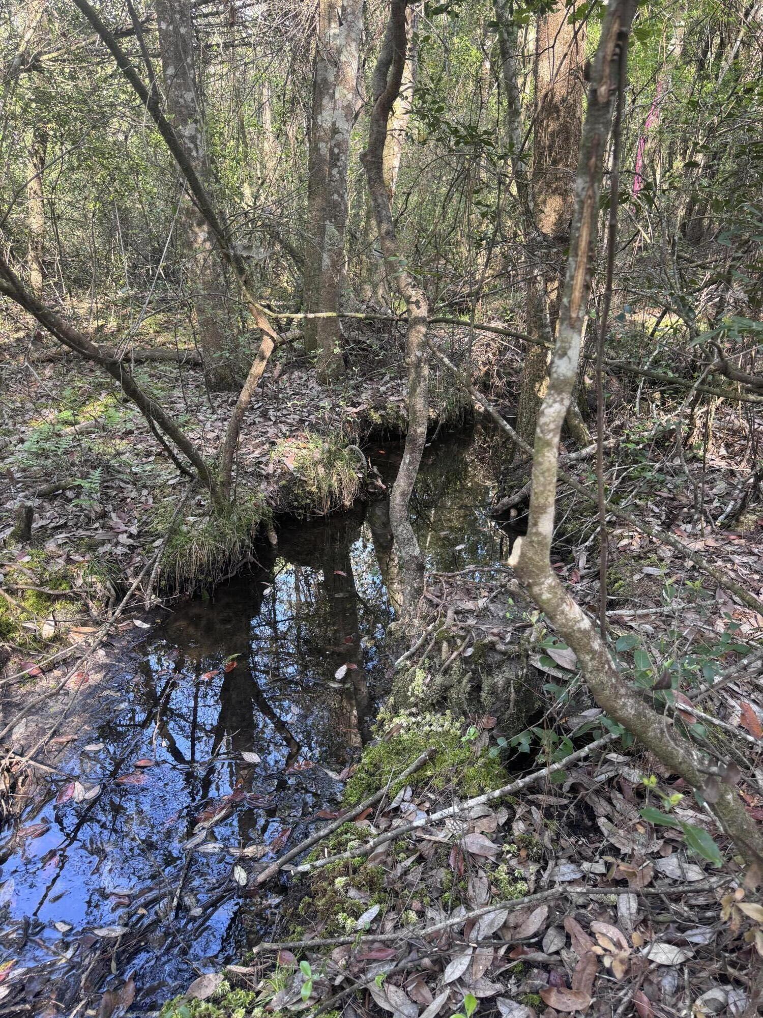 62 Acres Maes Lane Defuniak Springs FL 32433