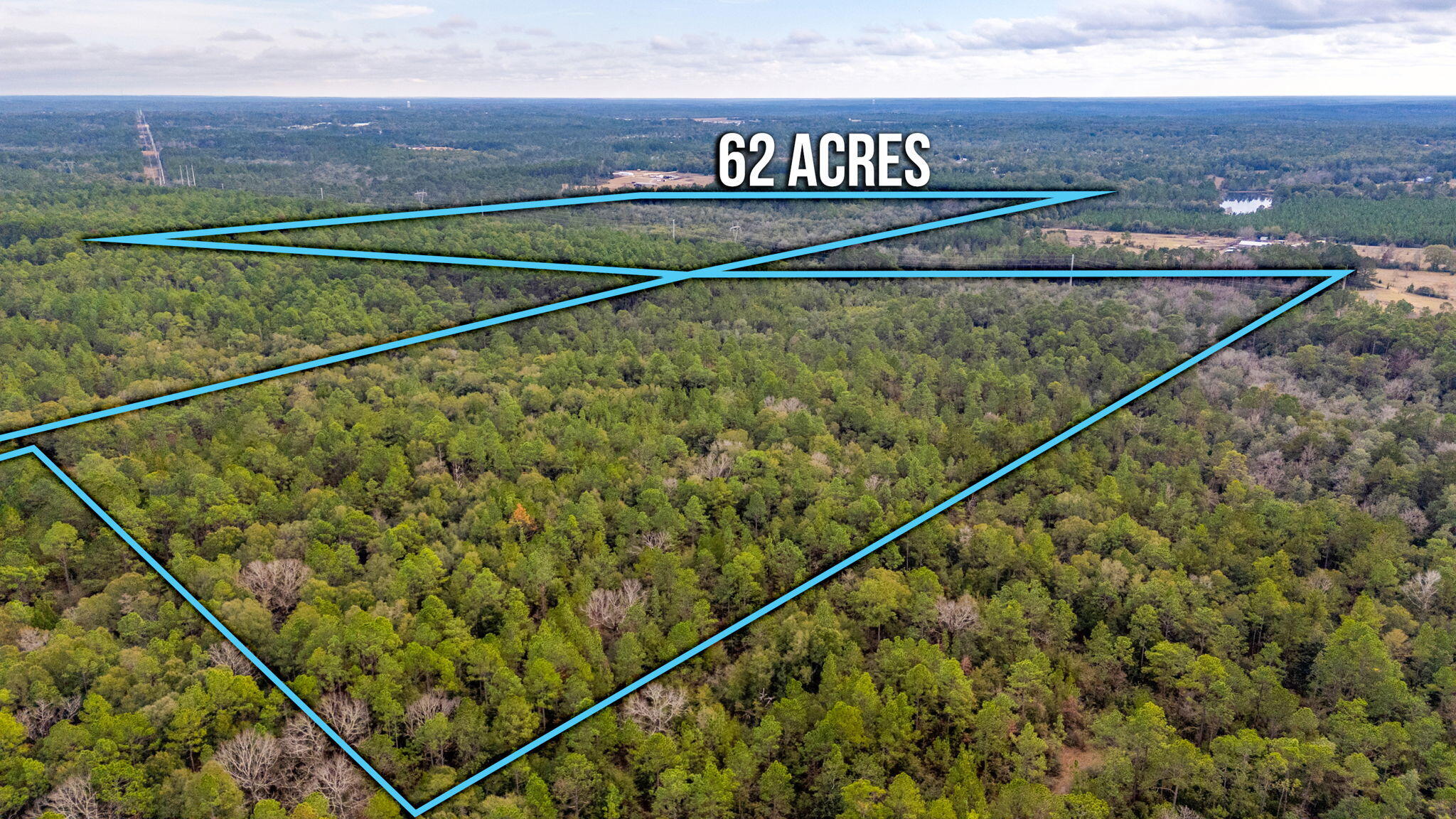 62 Acres Maes Lane Defuniak Springs FL 32433