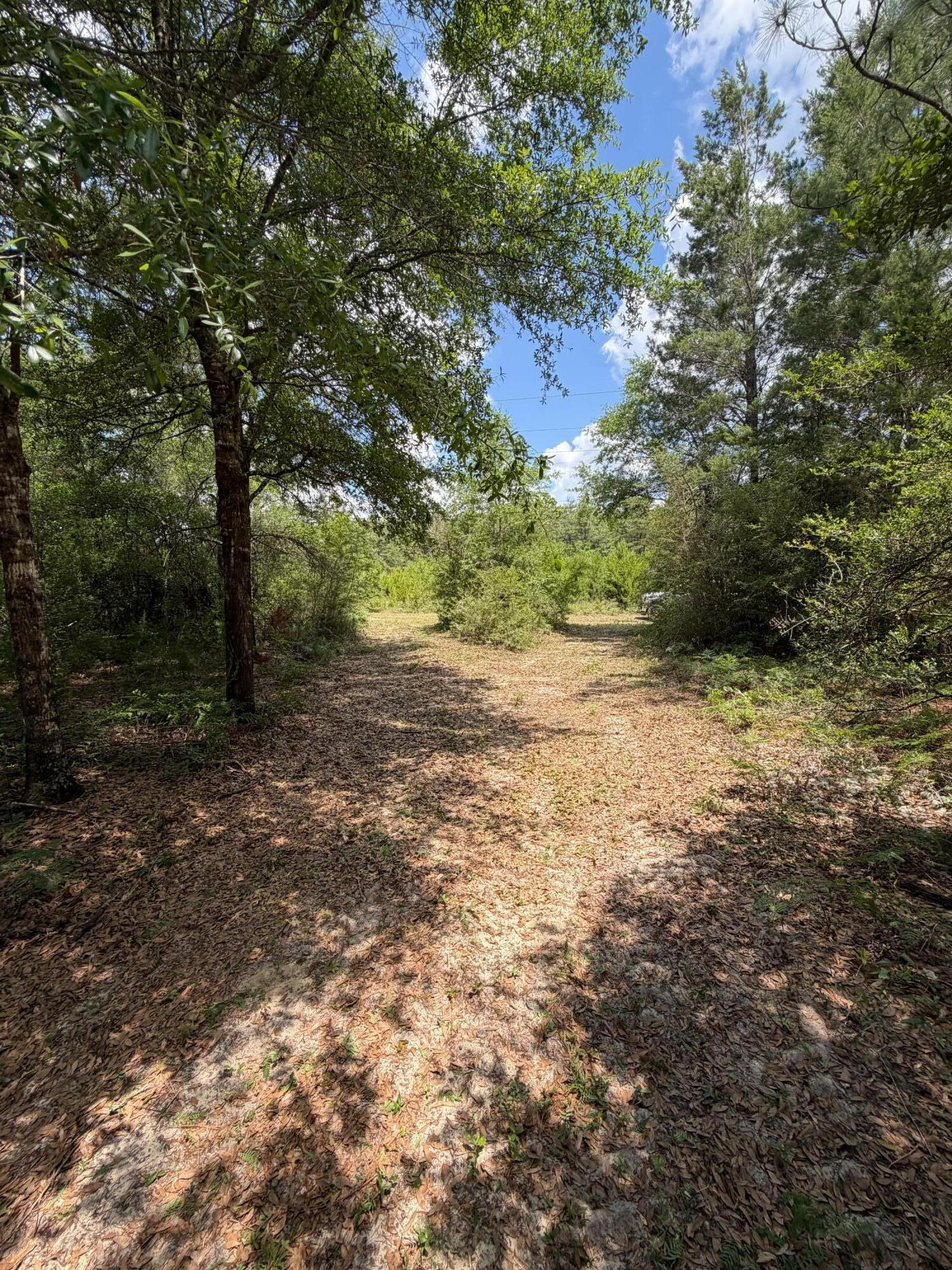 0 Laird Road Crestview FL 32539