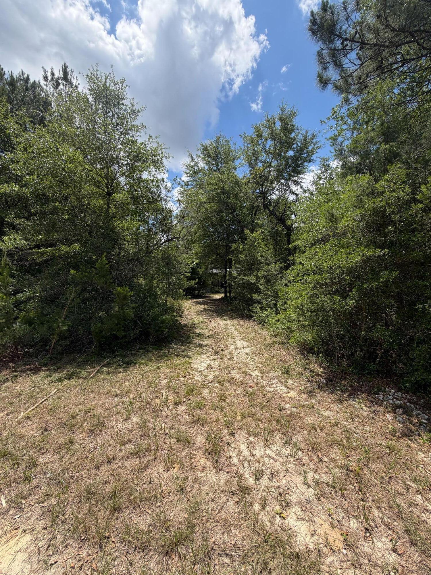 0 Laird Road Crestview FL 32539