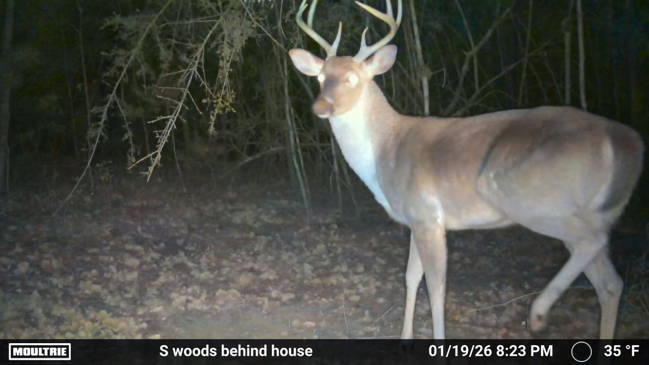 0 Laird Road Crestview FL 32539
