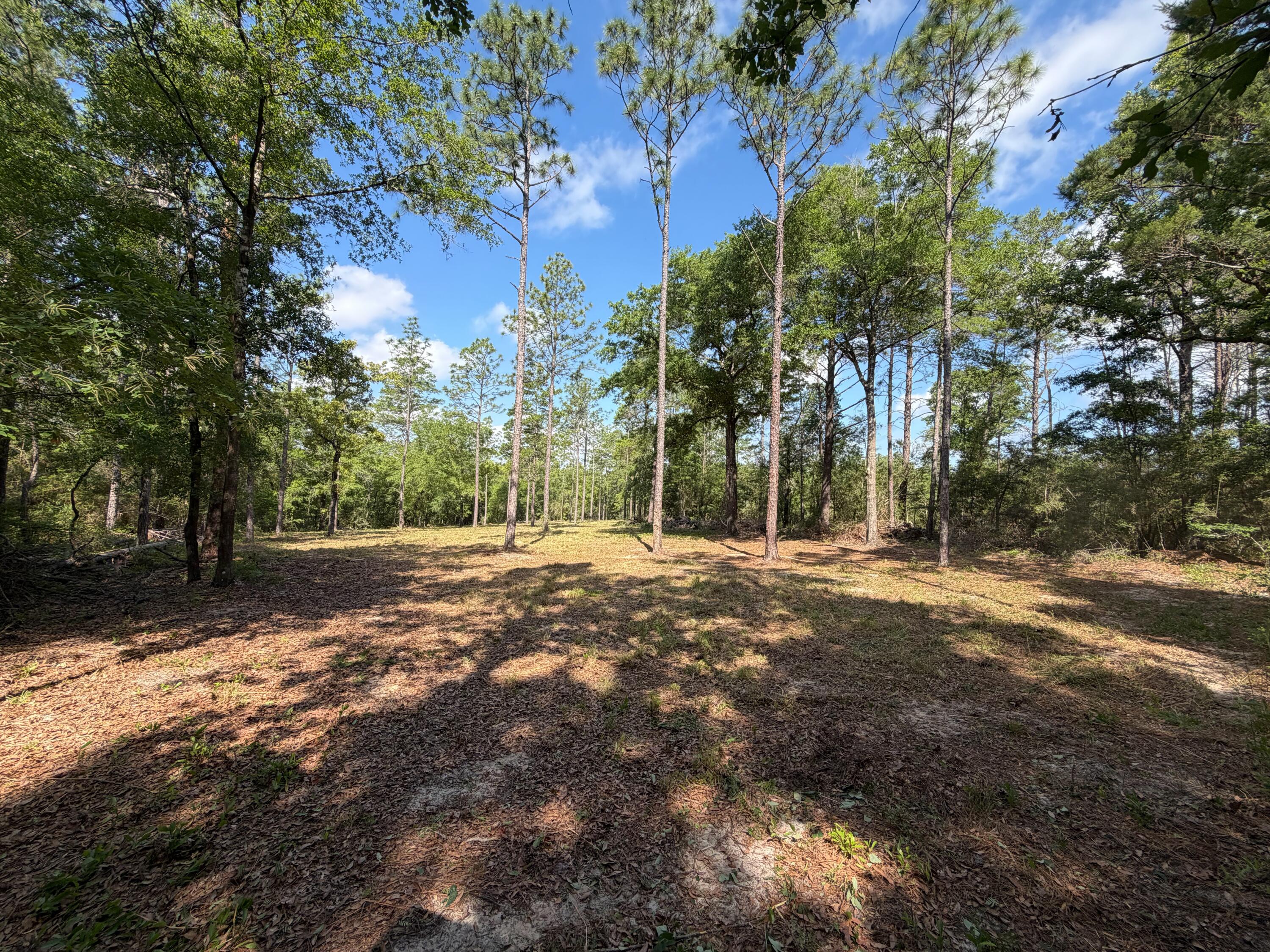 0 Laird Road Crestview FL 32539