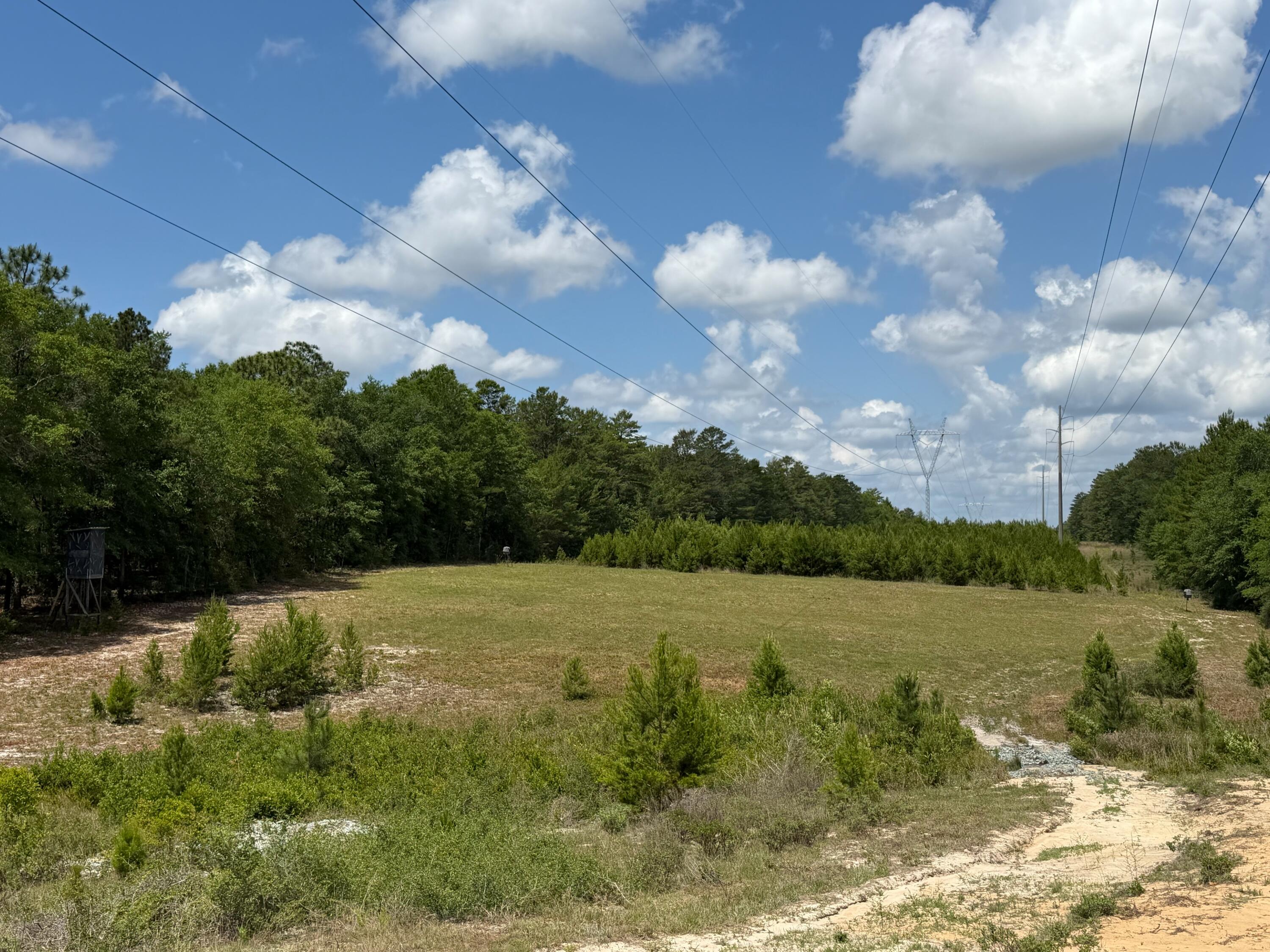 0 Laird Road Crestview FL 32539