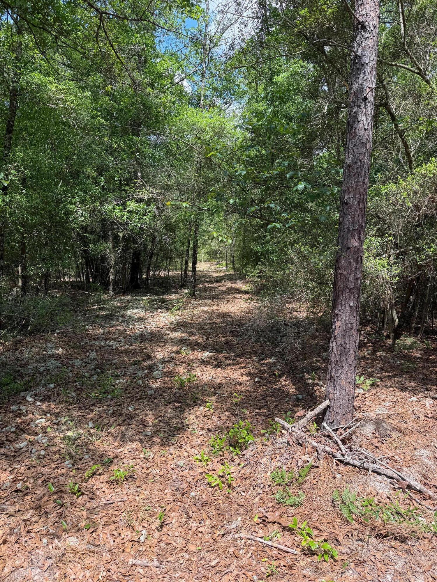 0 Laird Road Crestview FL 32539