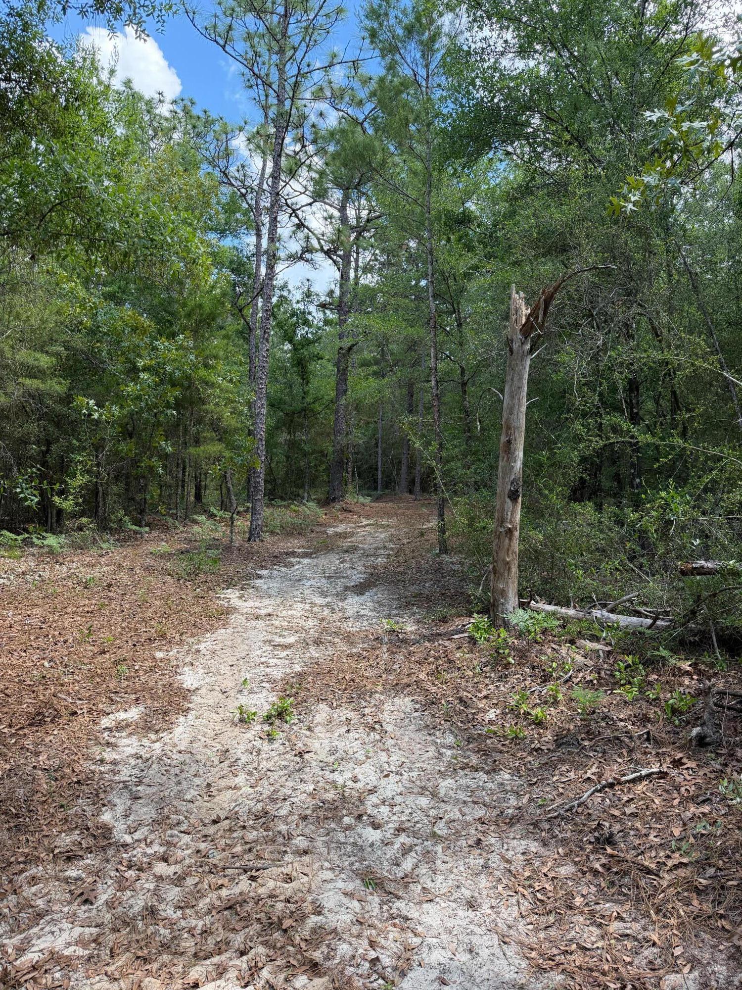 0 Laird Road Crestview FL 32539
