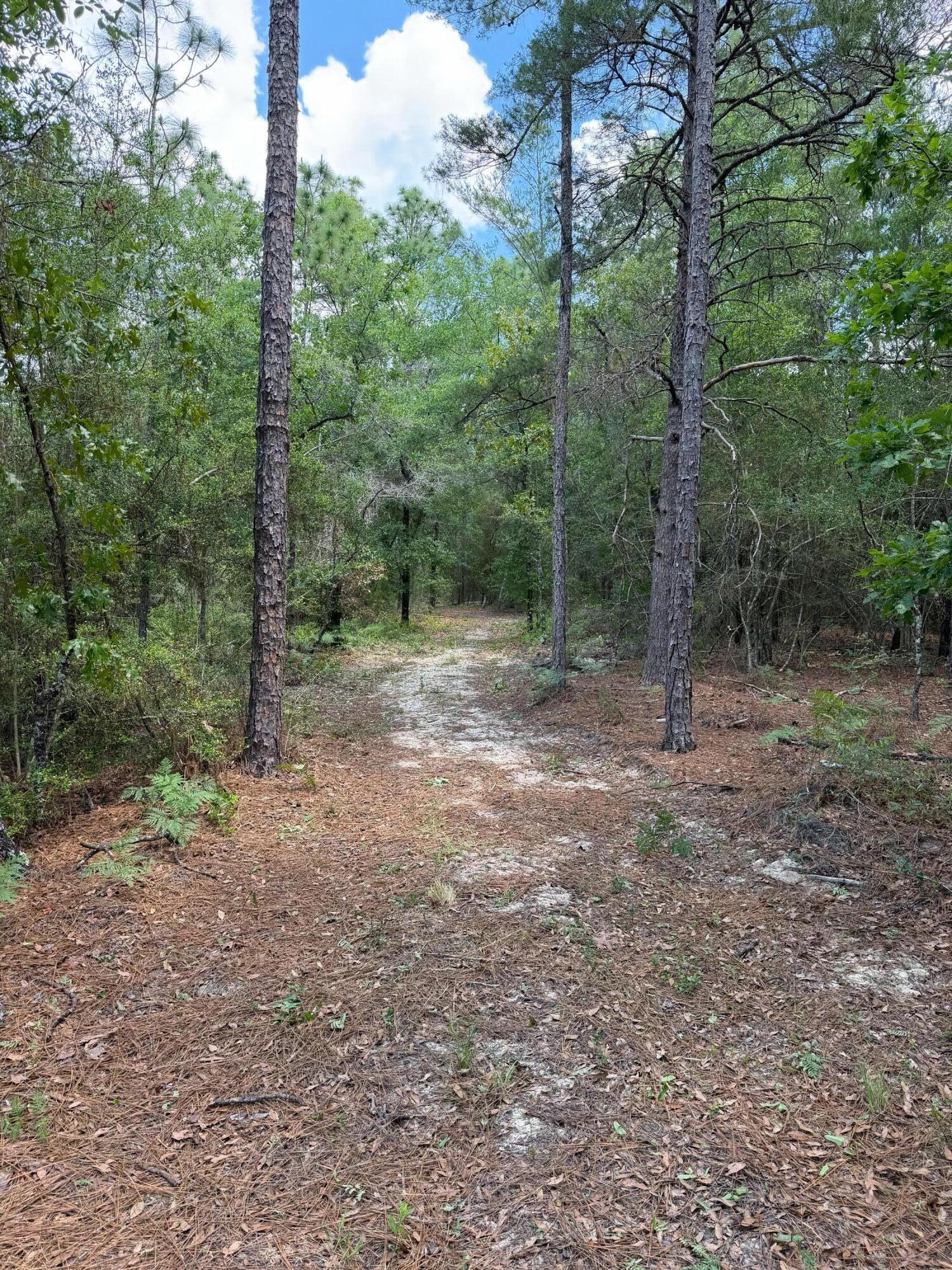 0 Laird Road Crestview FL 32539