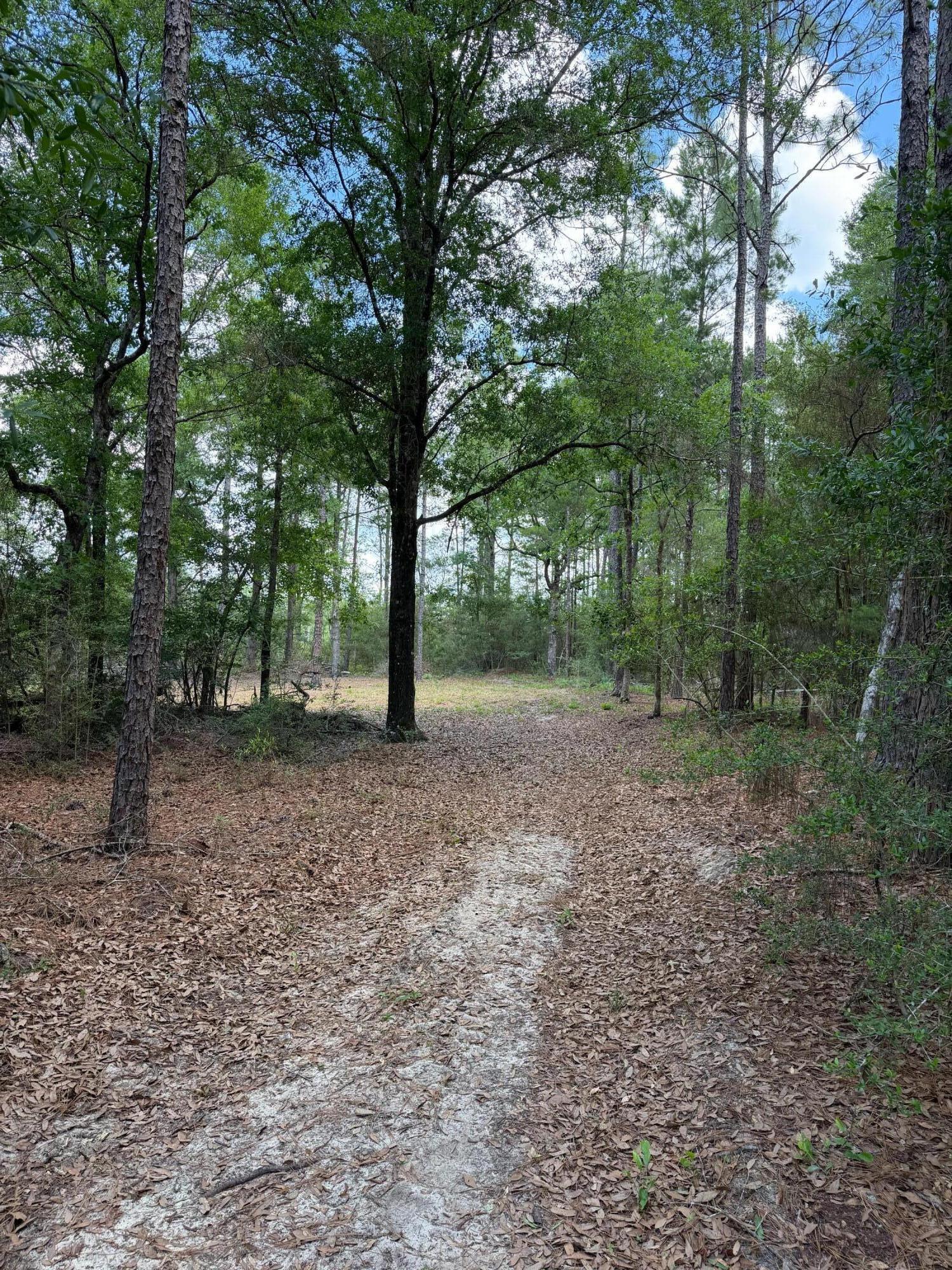0 Laird Road Crestview FL 32539