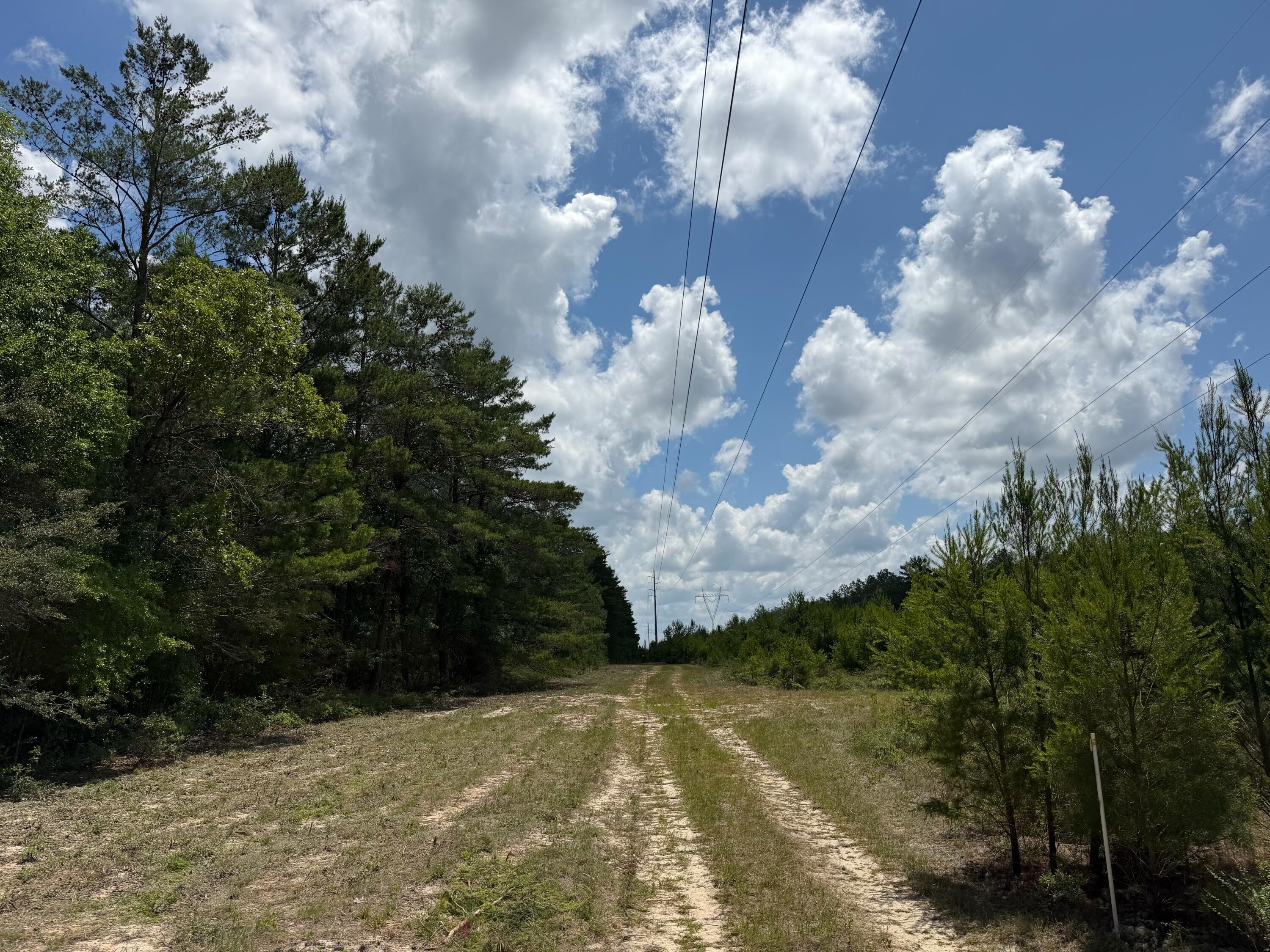 0 Laird Road Crestview FL 32539
