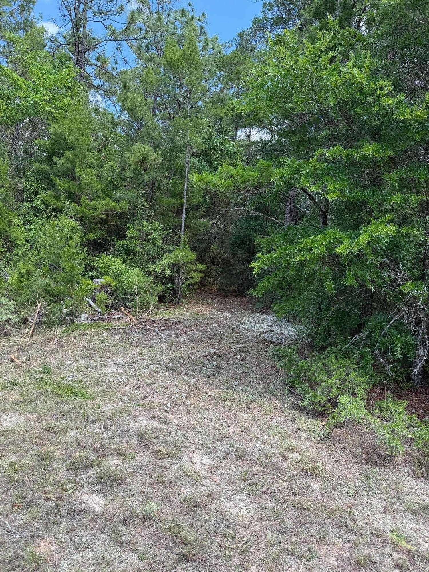 0 Laird Road Crestview FL 32539