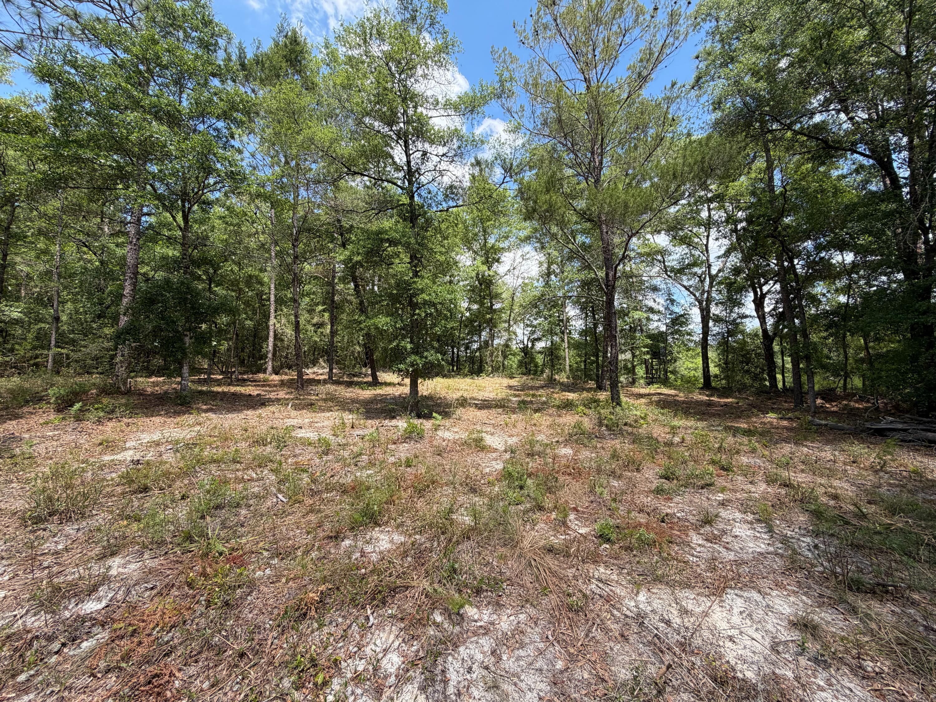 0 Laird Road Crestview FL 32539