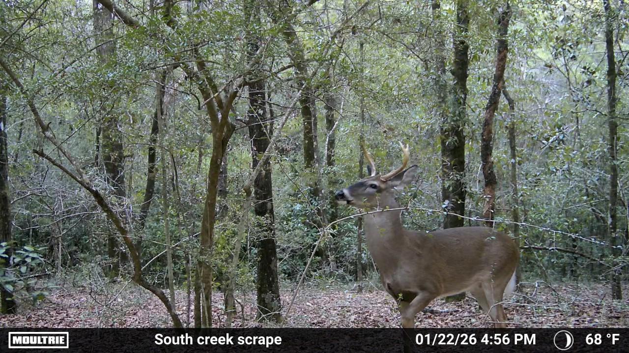 0 Laird Road Crestview FL 32539