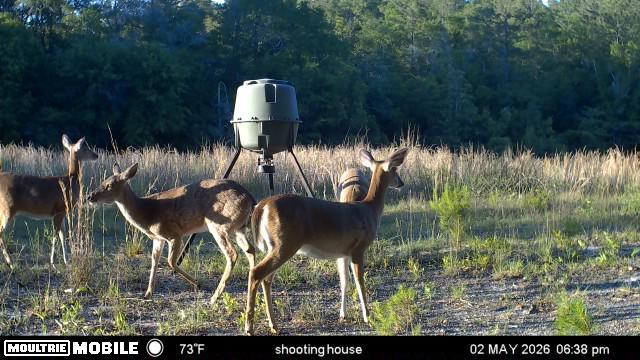 0 Laird Road Crestview FL 32539