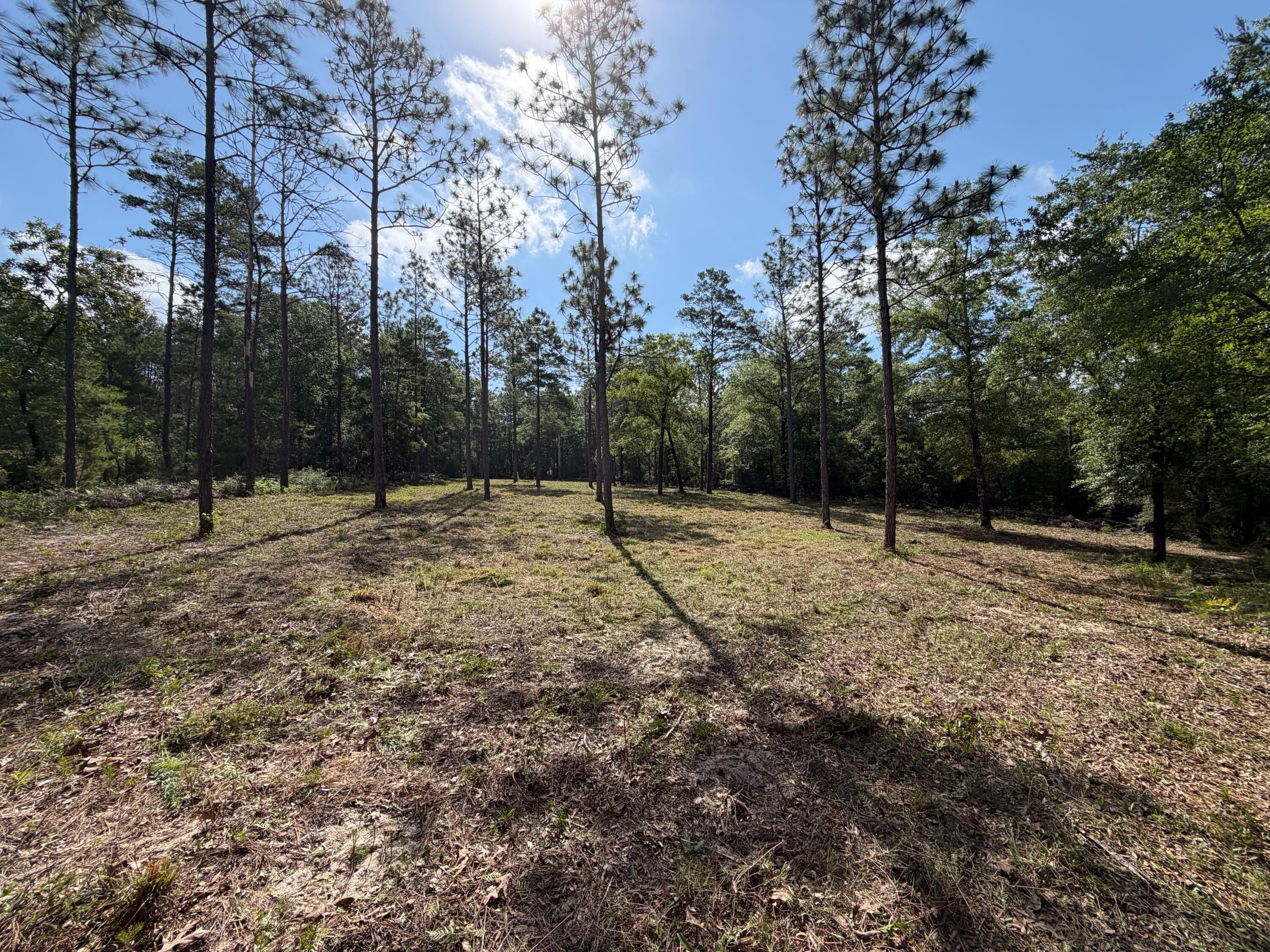 0 Laird Road Crestview FL 32539