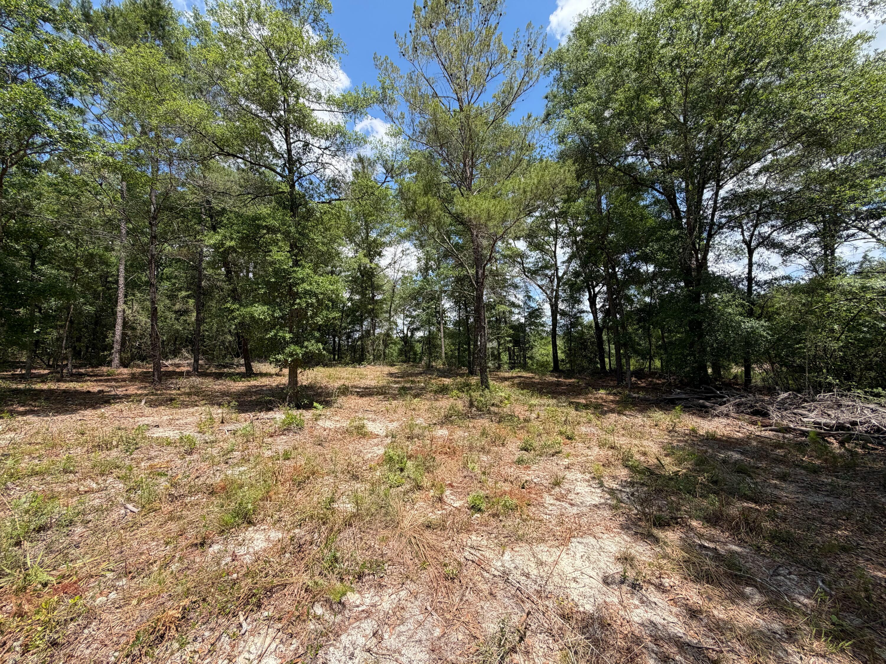 0 Laird Road Crestview FL 32539
