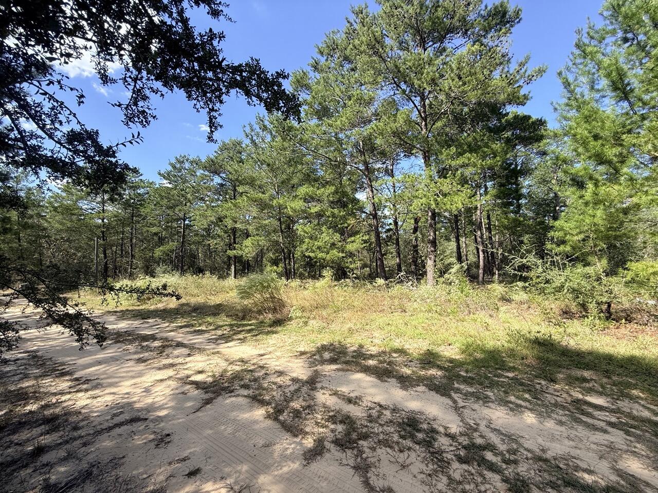 870 Watson Road M Defuniak Springs FL 32433