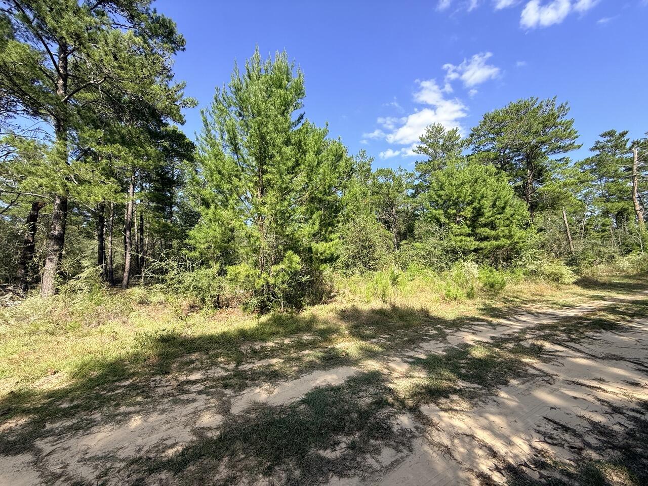 870 Watson Road M Defuniak Springs FL 32433