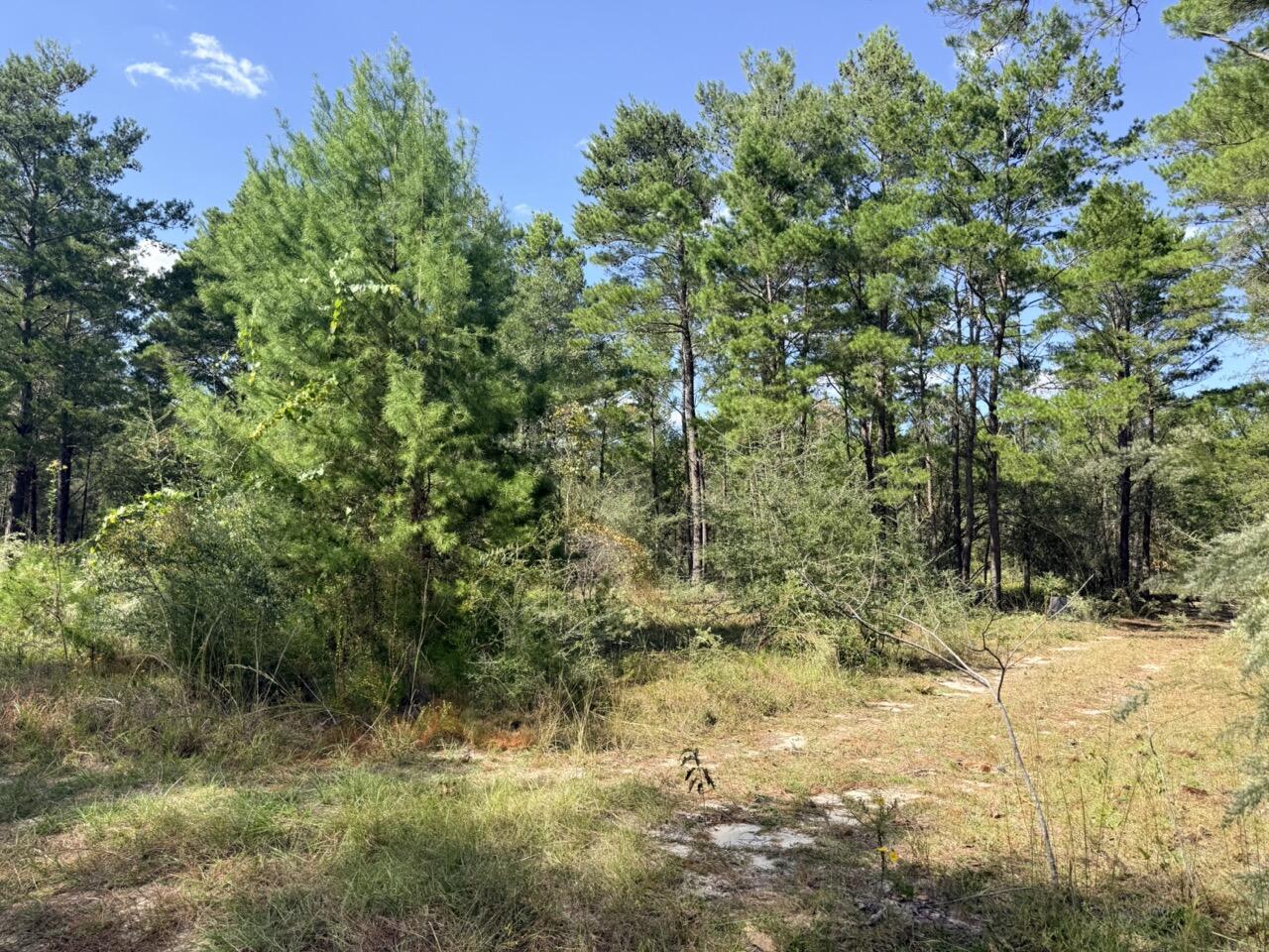 870 Watson Road M Defuniak Springs FL 32433